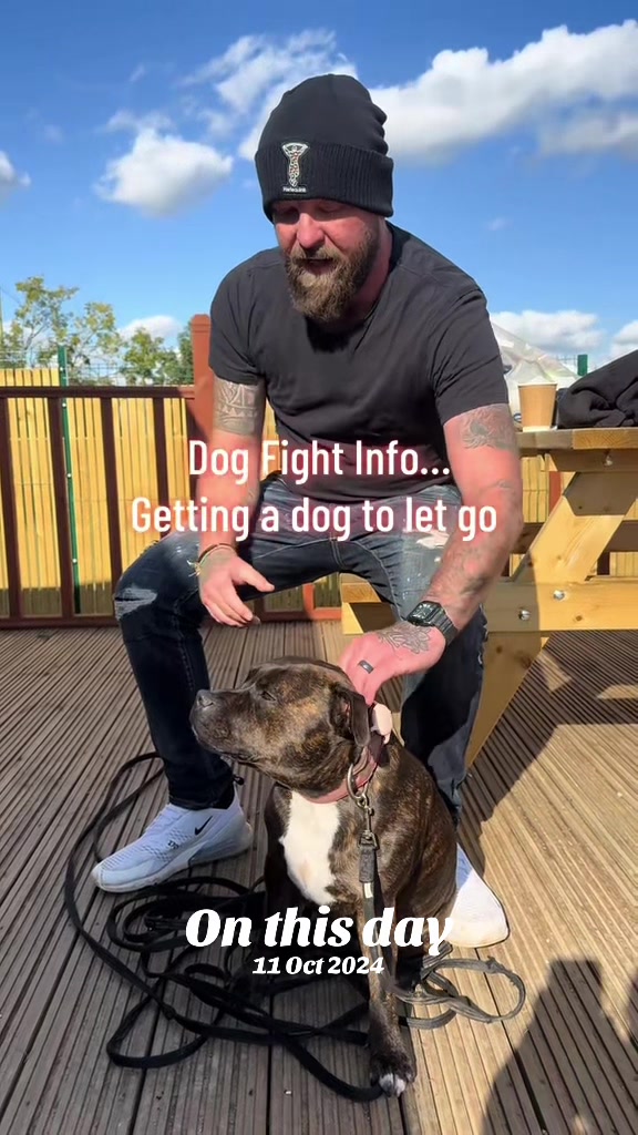 @SouthendDogTraining