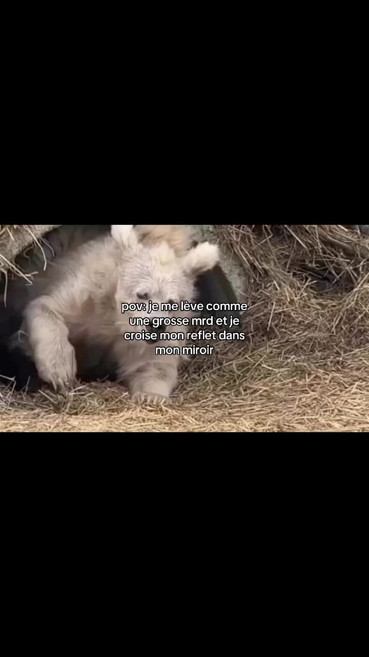 @m💕