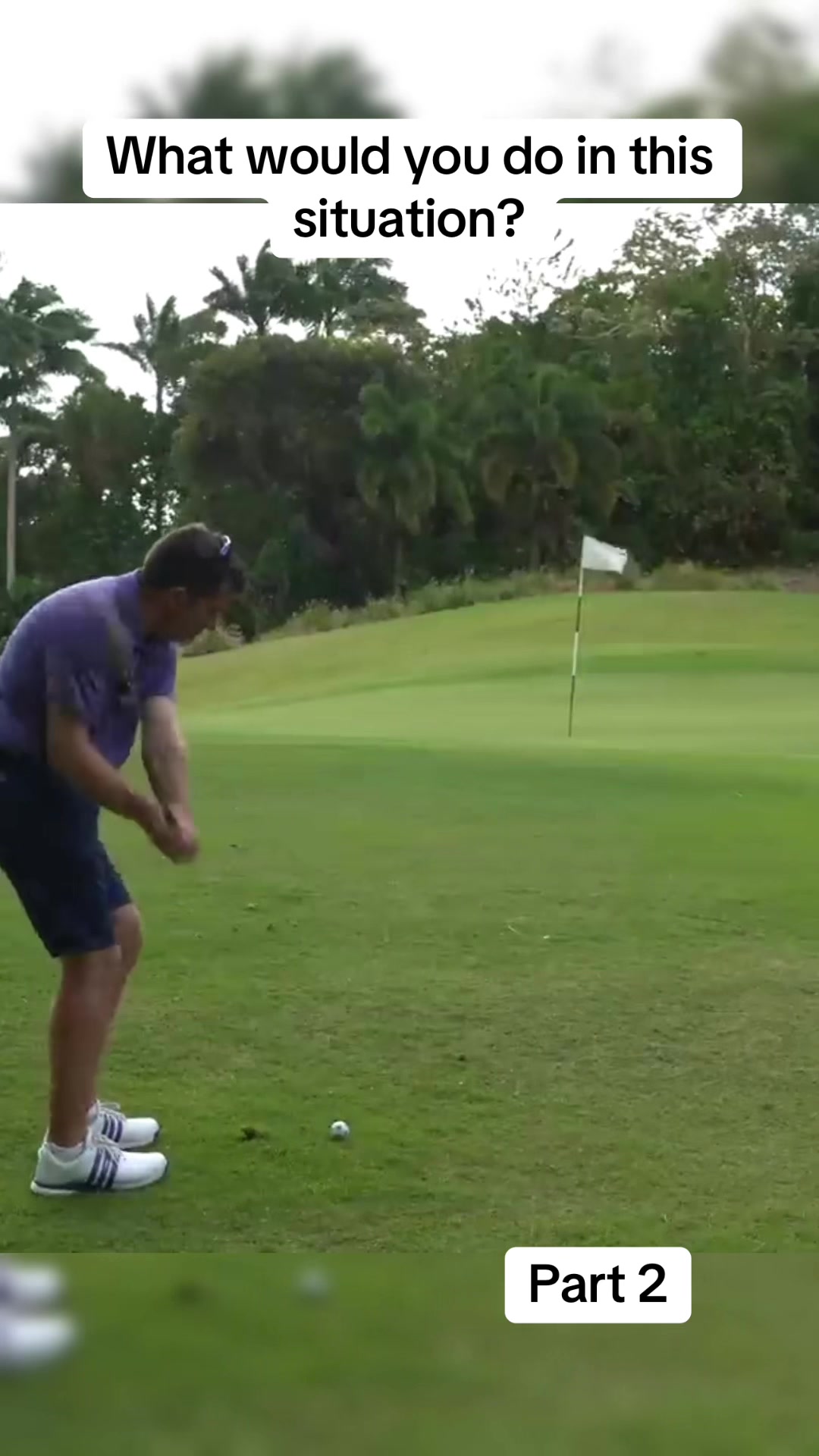 @The Golf Goat