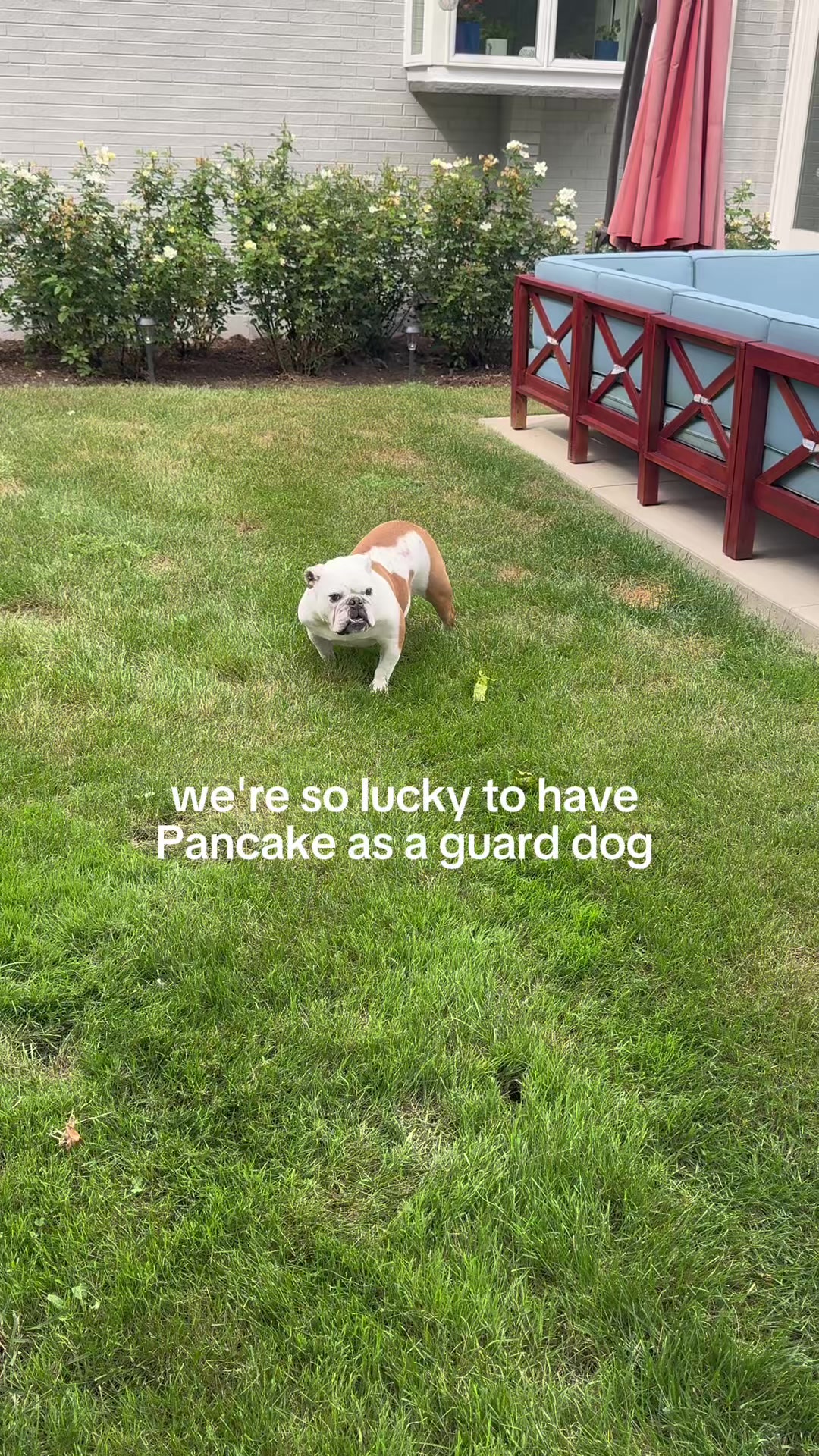 @Pancake 🥞
