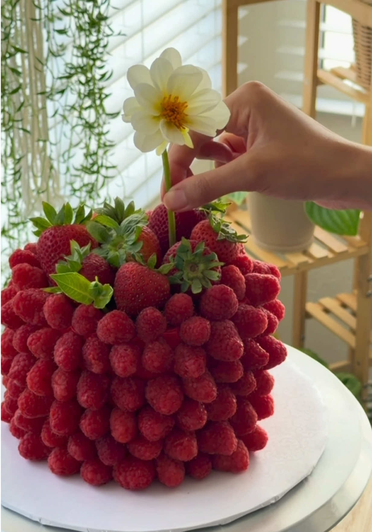 @Fariha | Its Sugarlicious