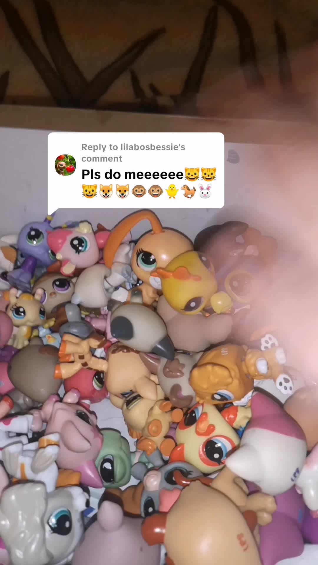 @Lps collecter🌺
