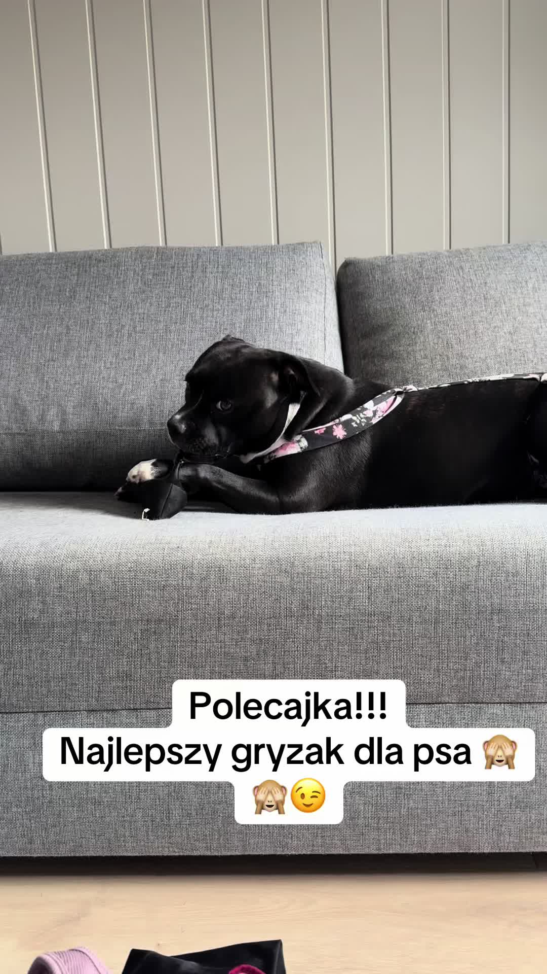 @🇵🇱Daria 🇳🇴🫦♉️