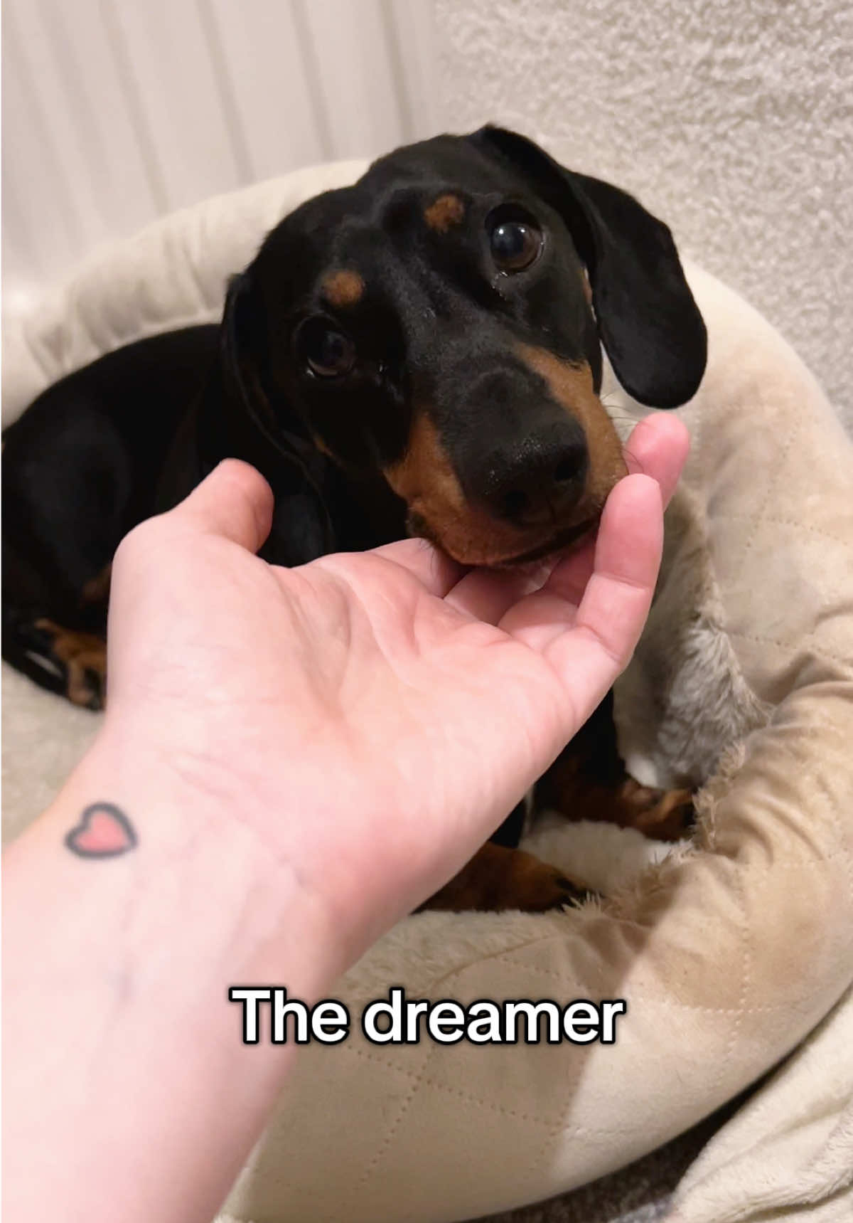 @Rebecca, Pip & Rolo