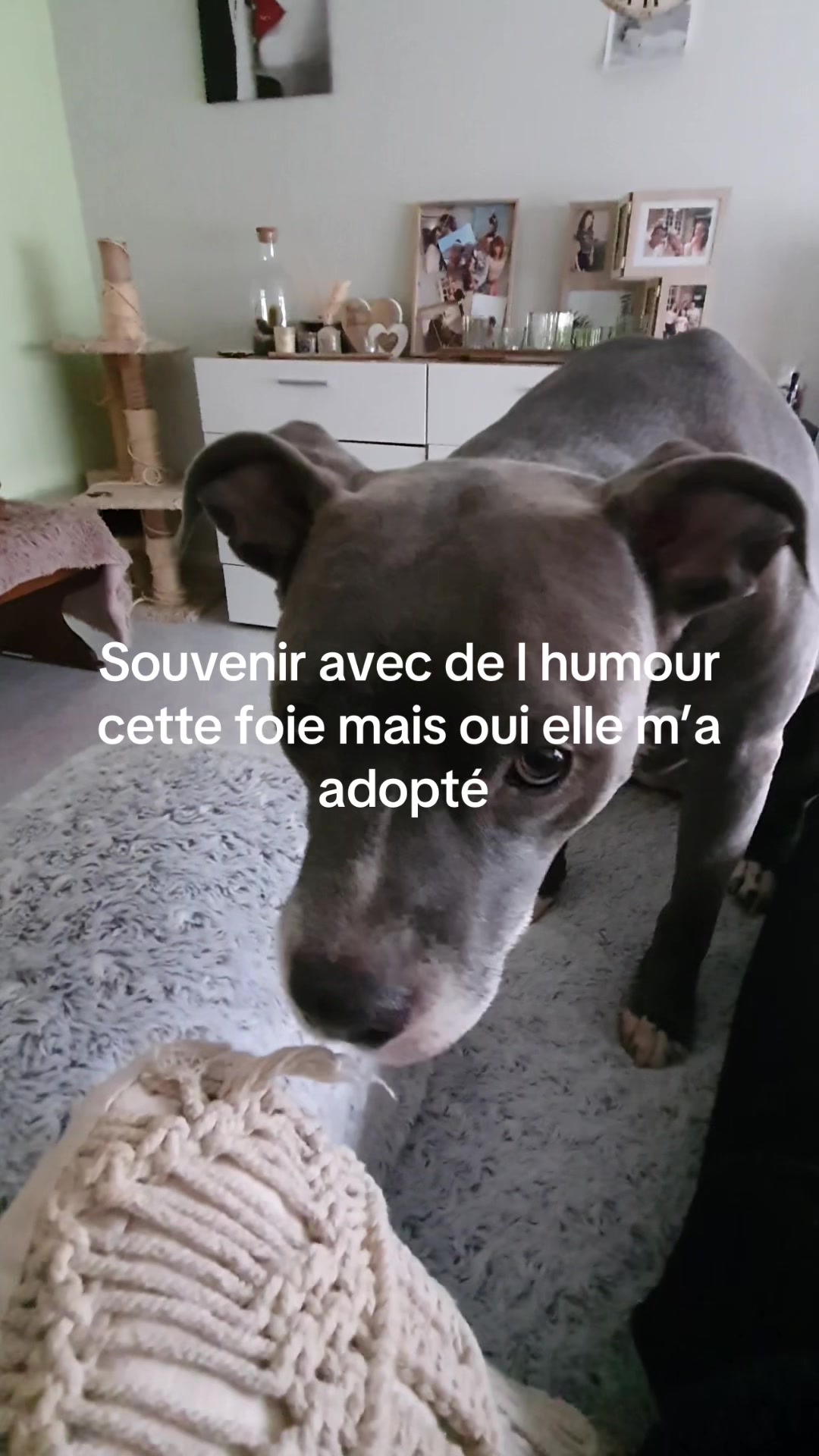 @Virginie