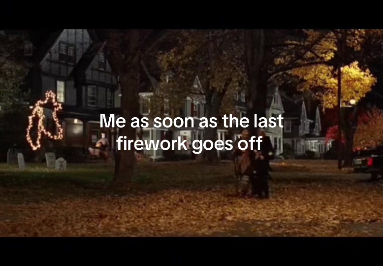 @🪽🐈&zwj;⬛