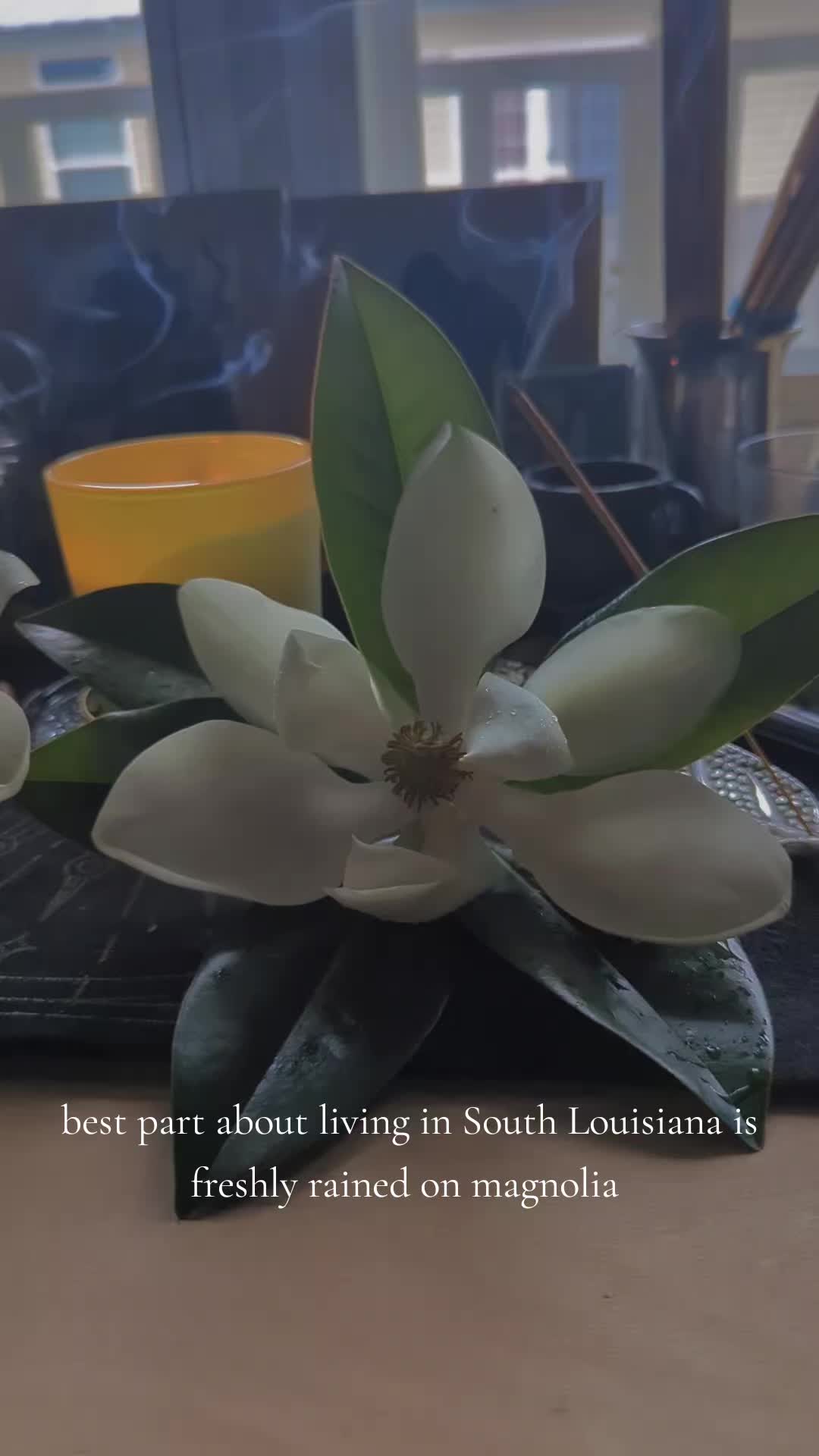 @🪦𝕷𝖊𝖊🪦