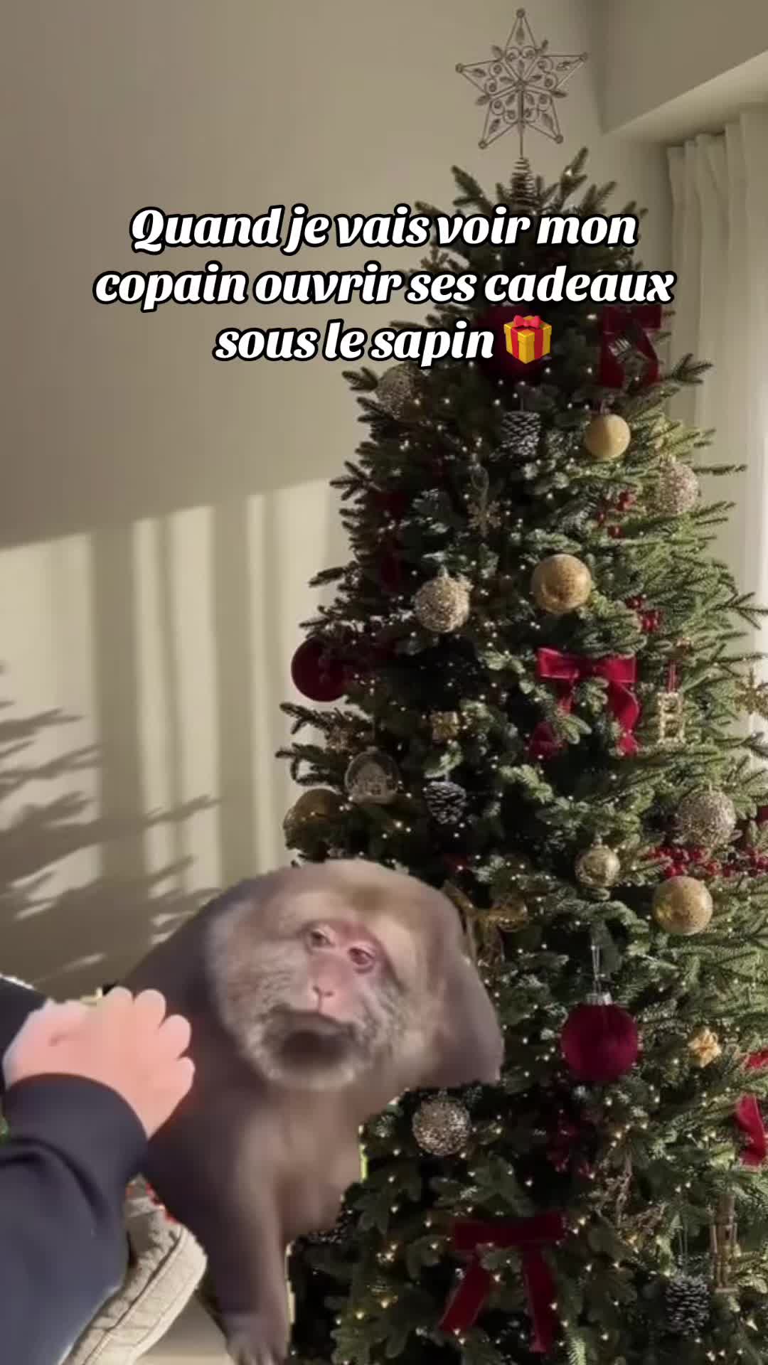 @๐๐๐ซ๐ข๐จ๐ง ๐๐ฉท