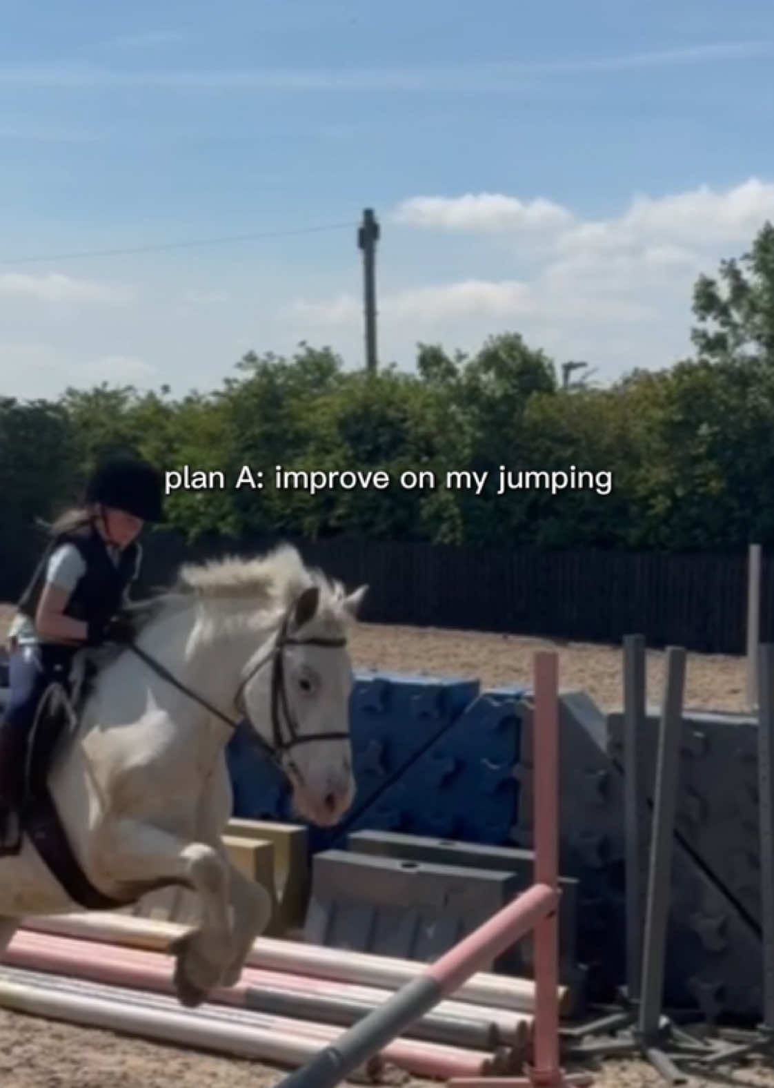 @LottiesHorseAdventures🦄🐴