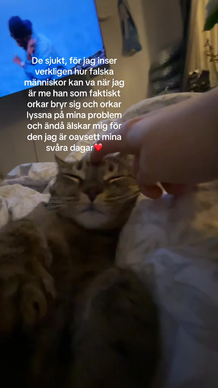 @ℰ𝓂𝒾𝓁𝒾𝒶ℒ𝒶𝓇𝓈𝓈ℴ𝓃