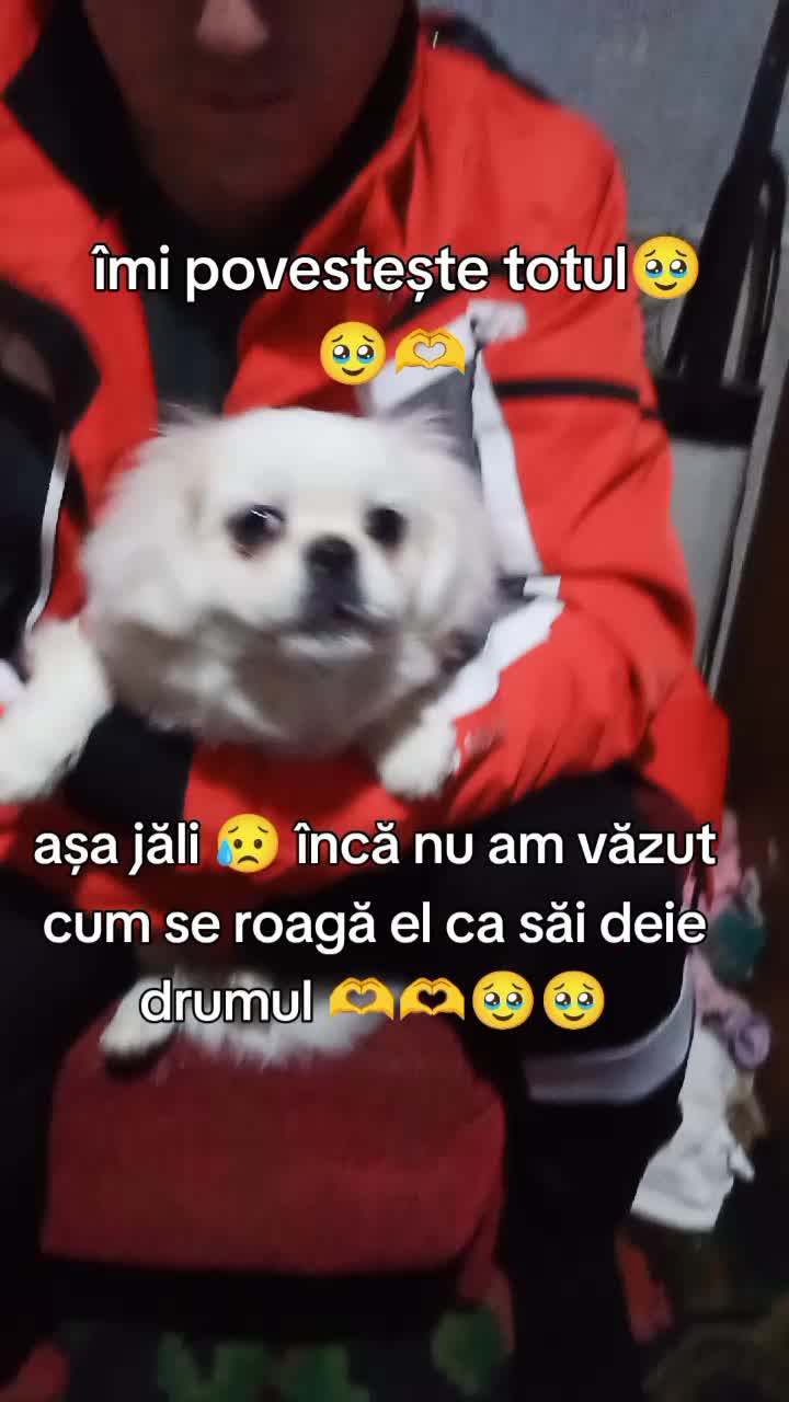 @Jacky_TikTok