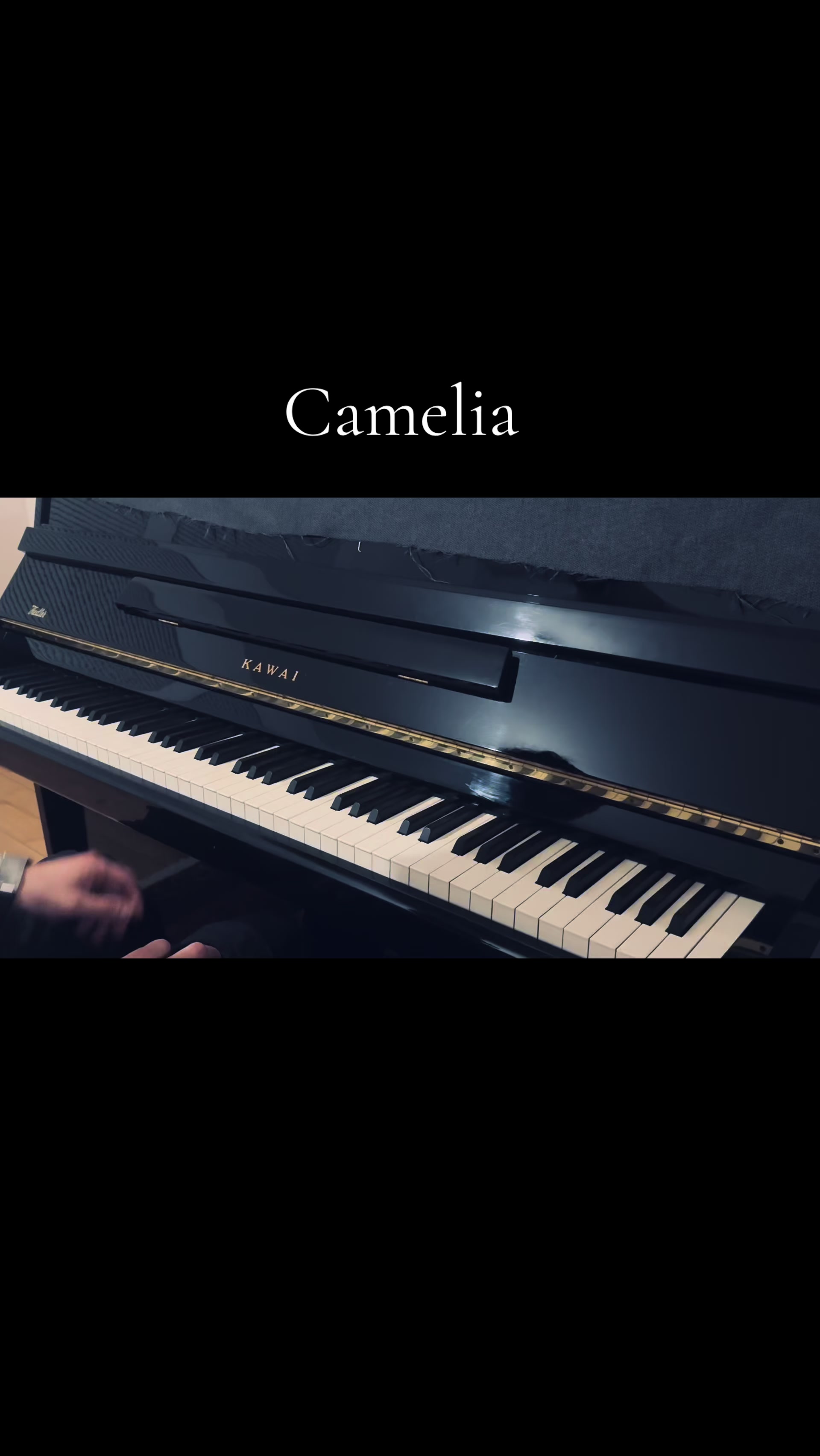 @marcus_piano