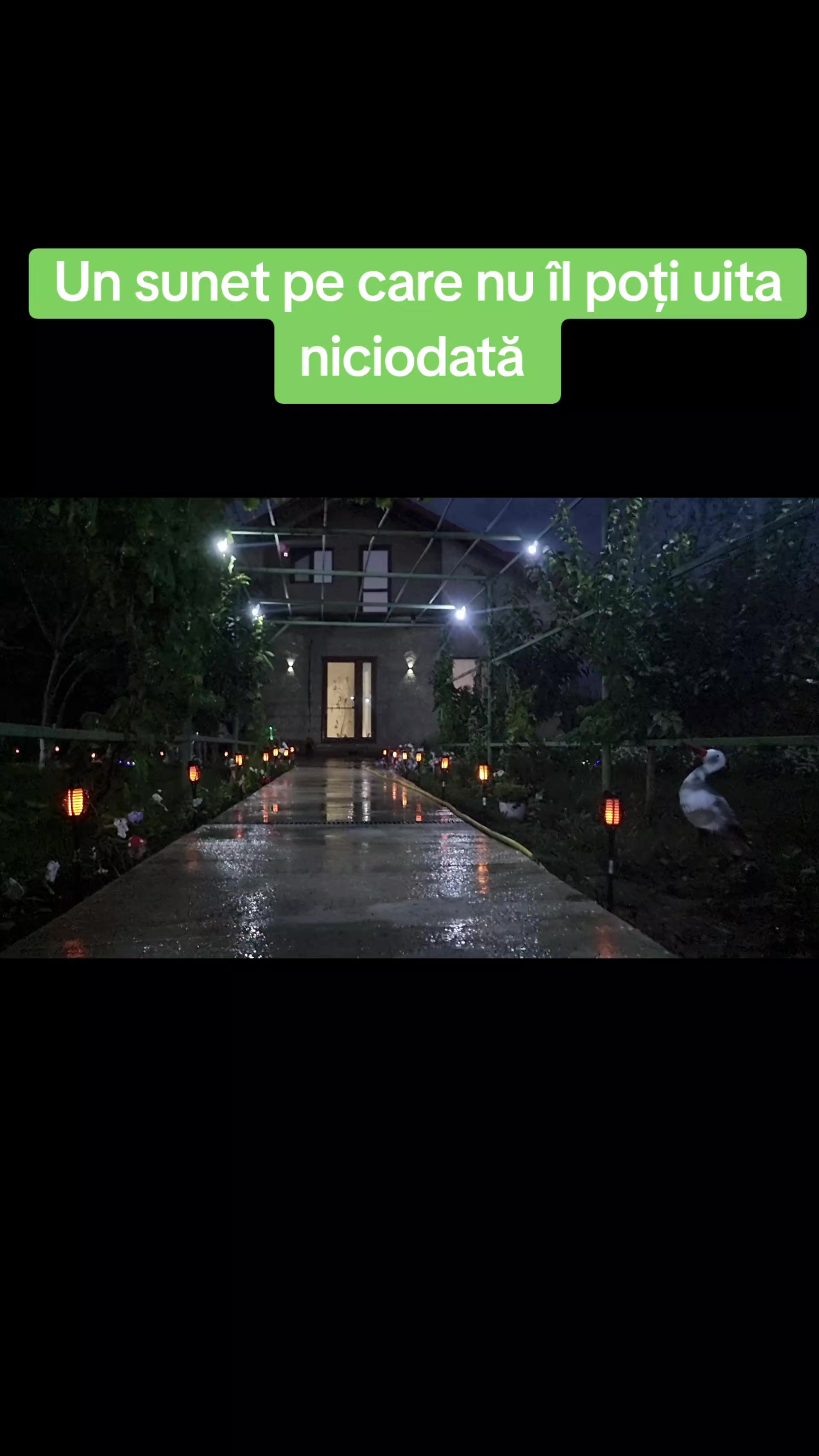 @Mitică