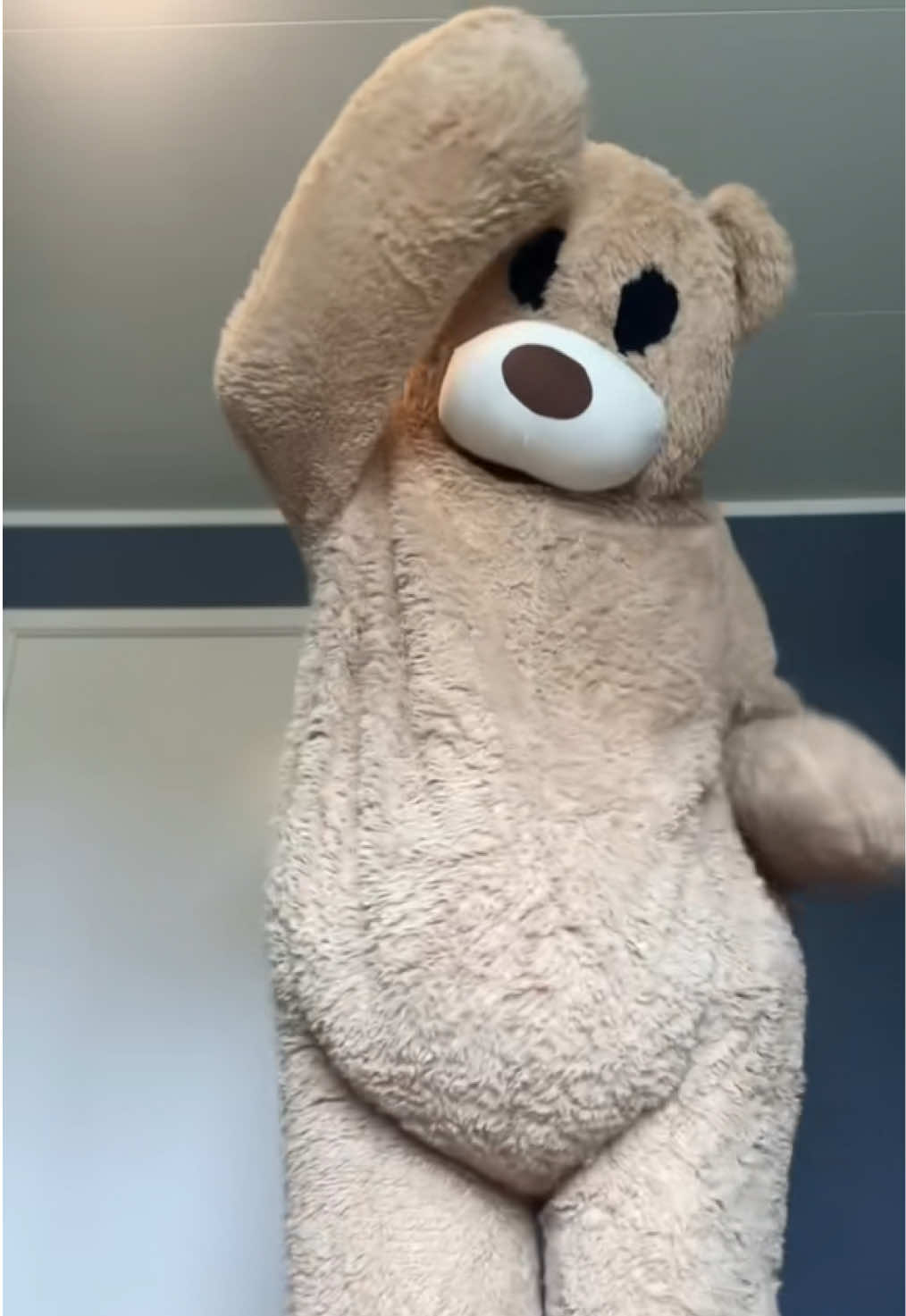 @teddytok