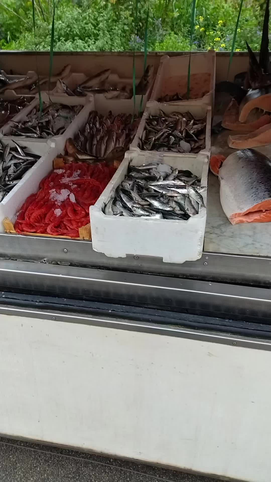 @Pescheria Da Stefano