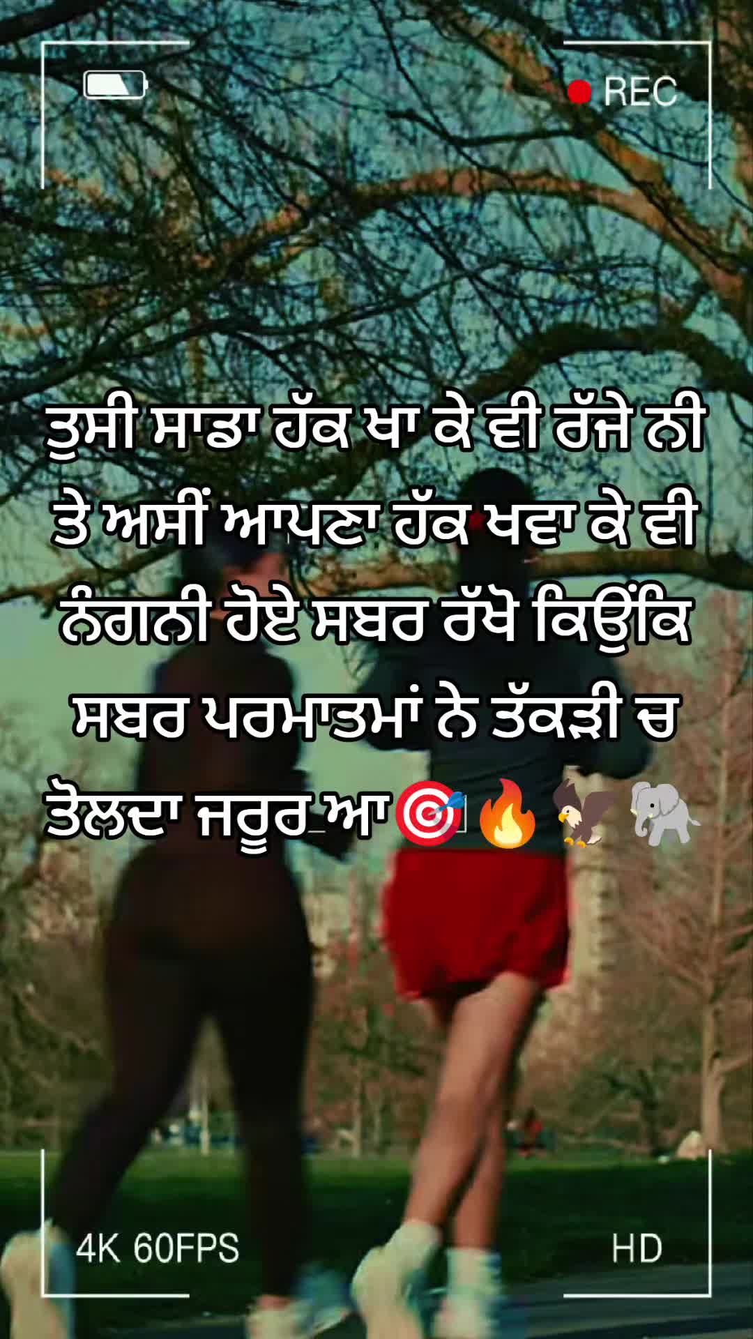 @Editkaur