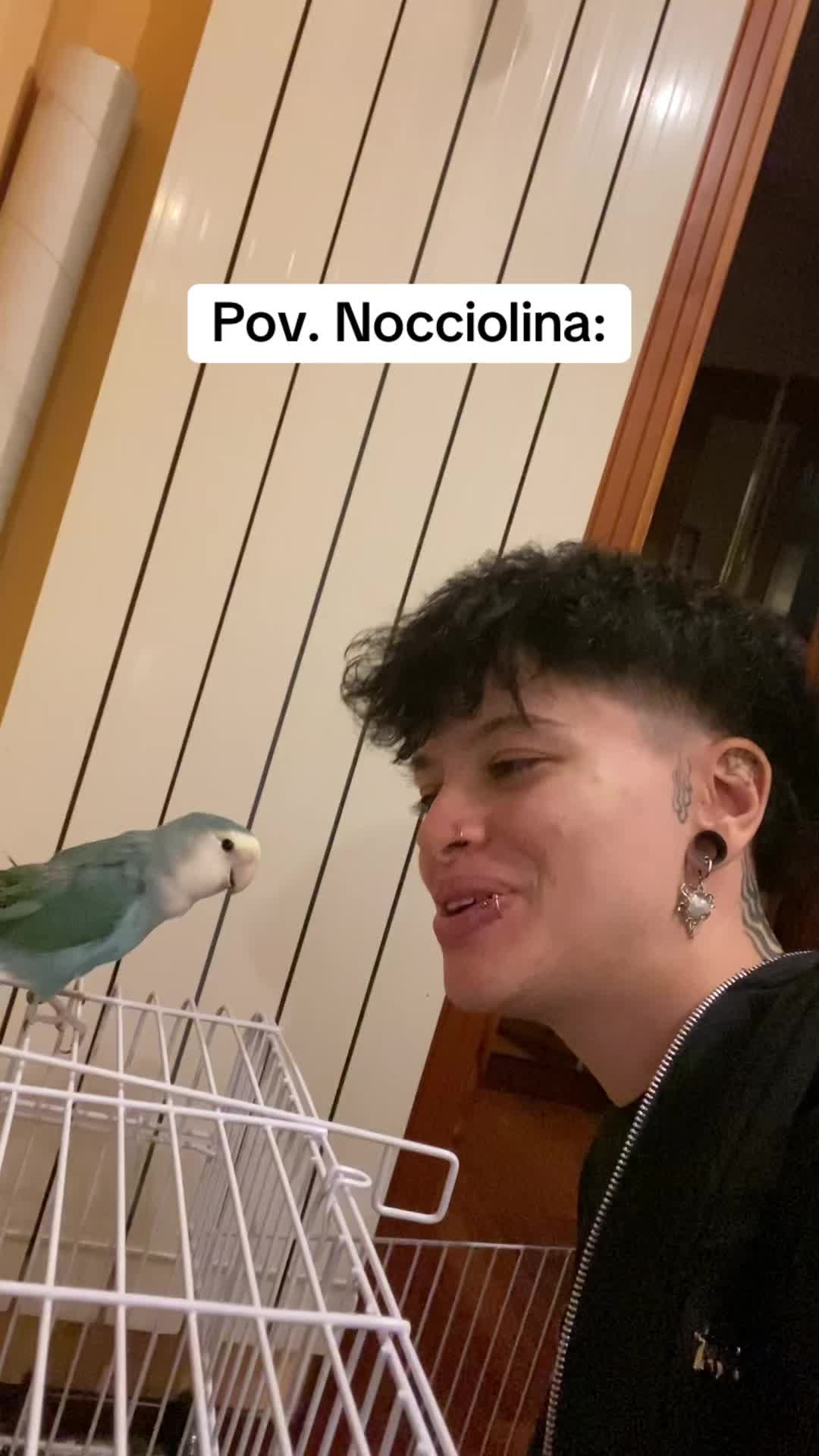 @nchesenzo