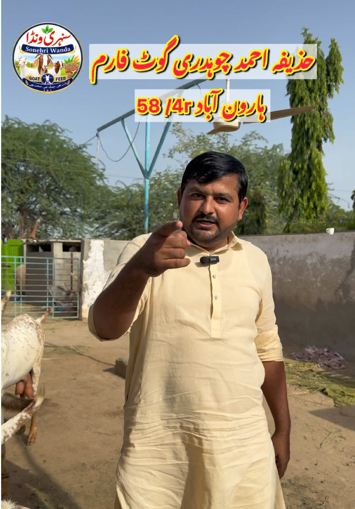 @vet.dr.mohsin4800