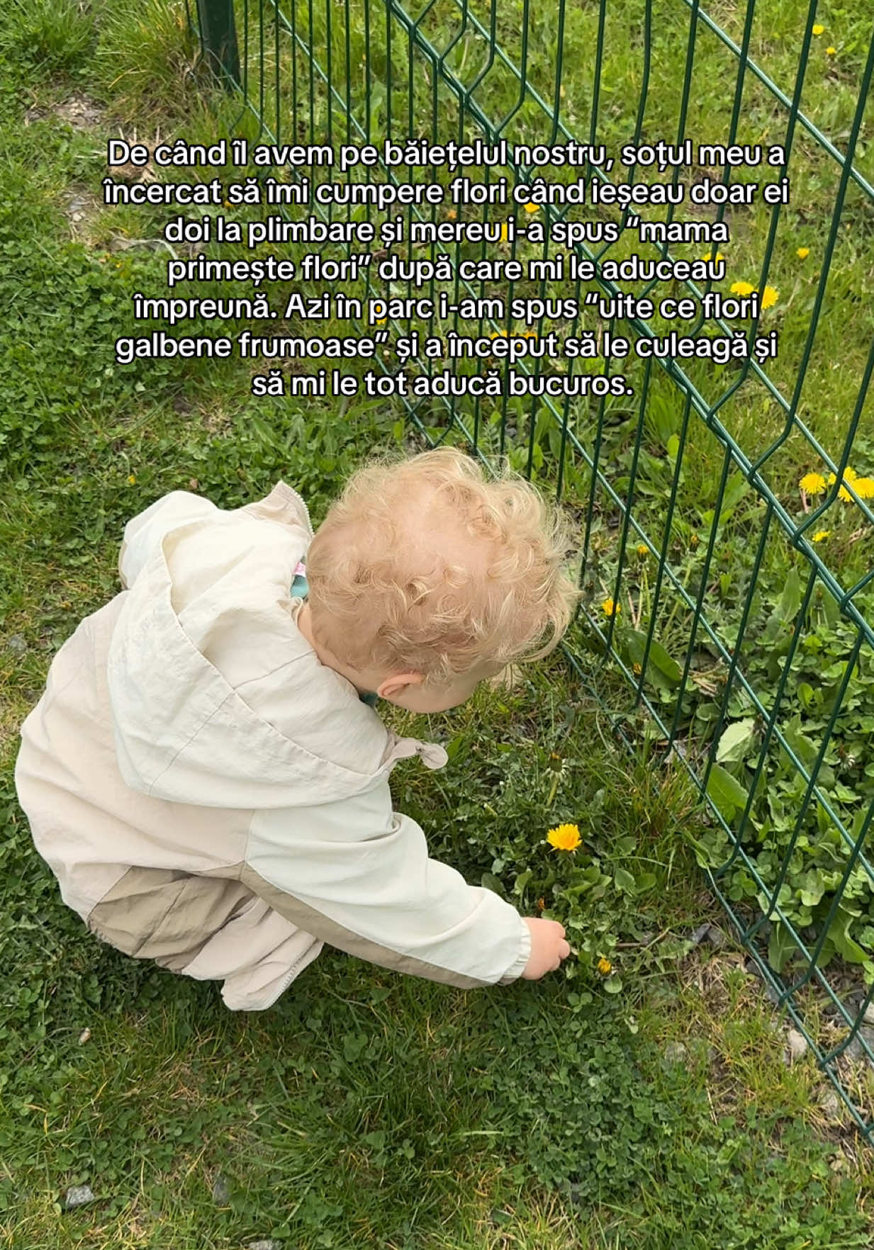 @Henrietta Isán