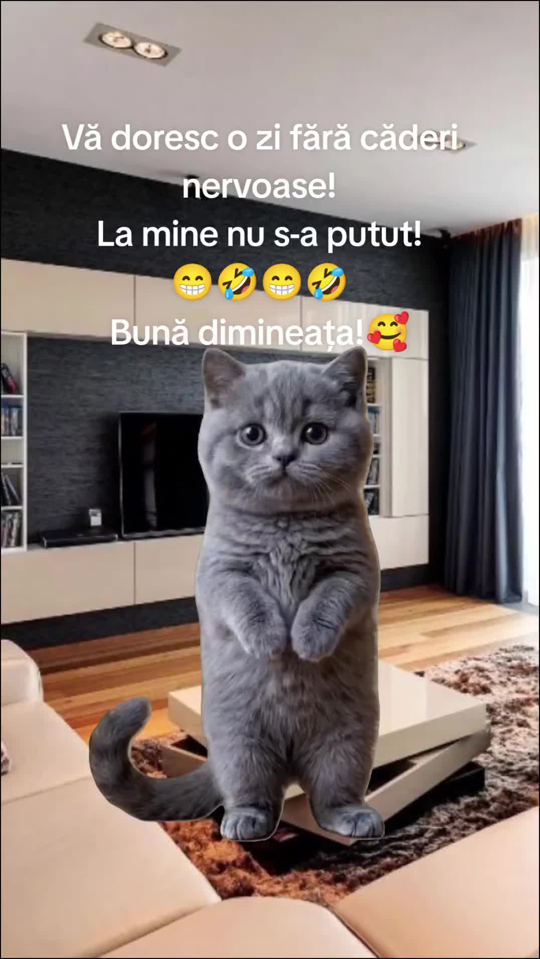 @Carmen Buhinschi