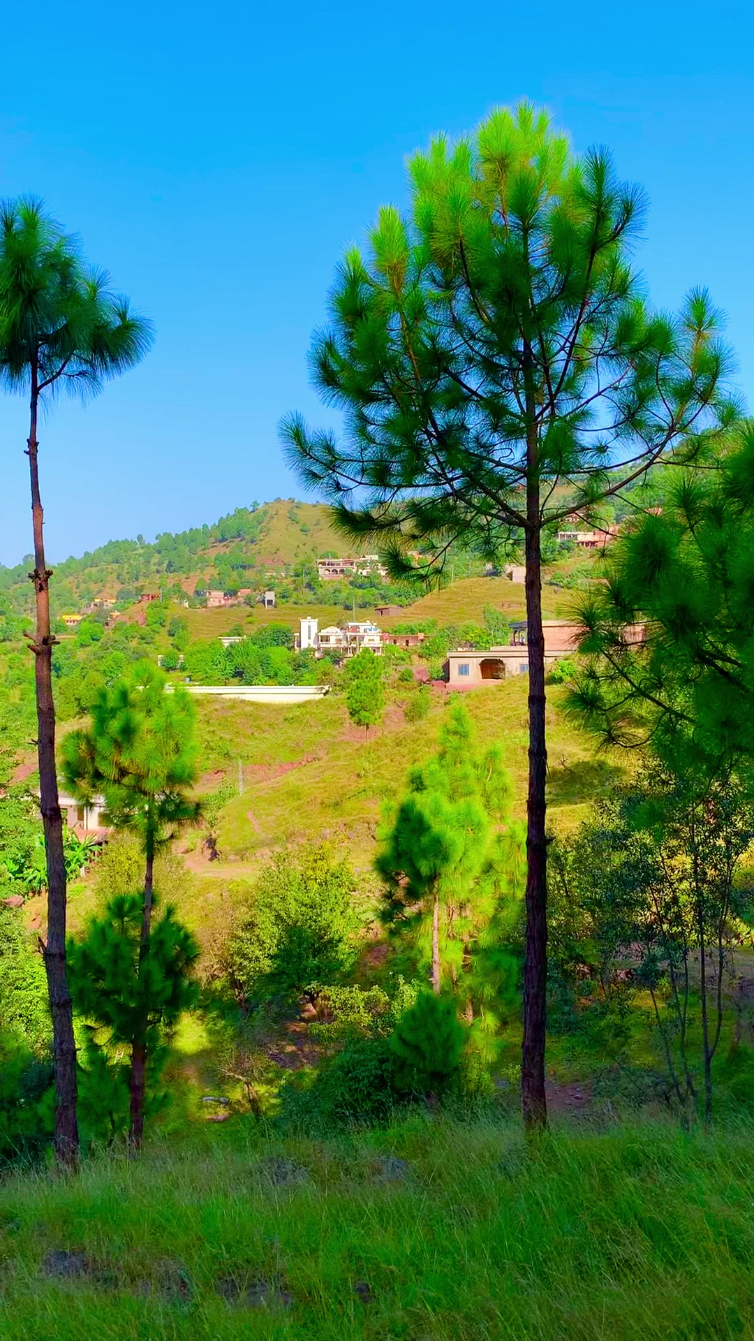 @💫MUZAMMIL 💫KASHMIRI🌟💫BK🥰