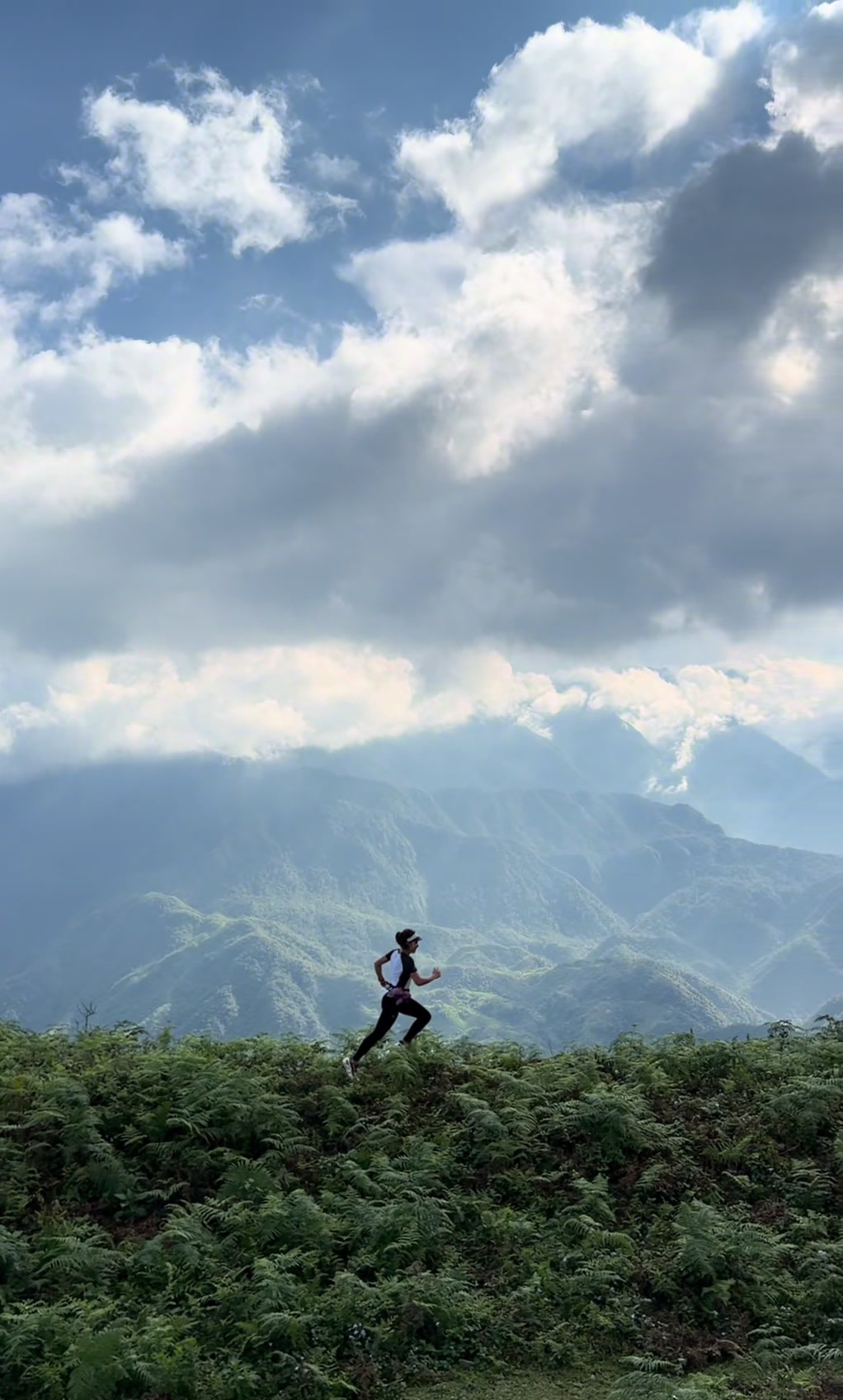 @hahautrailrunner