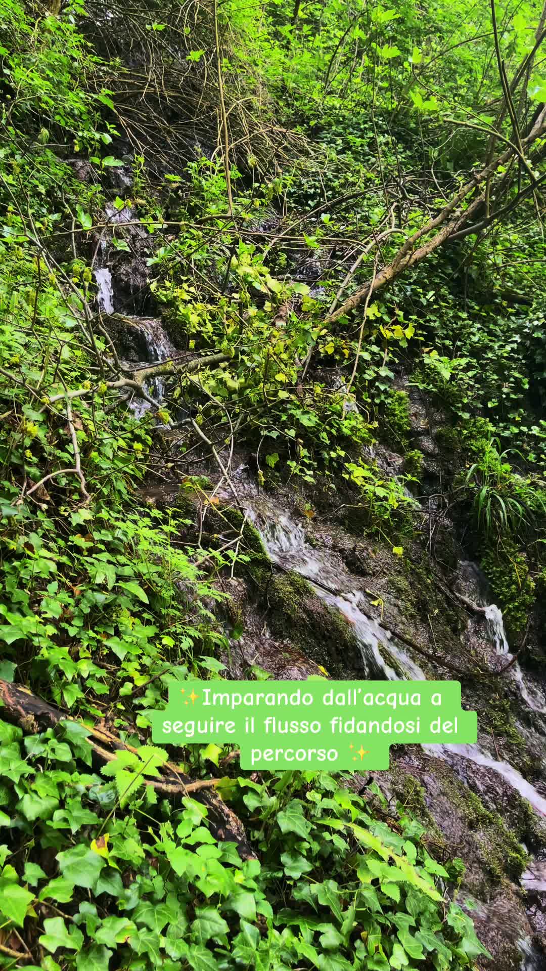 @claudiademicoli