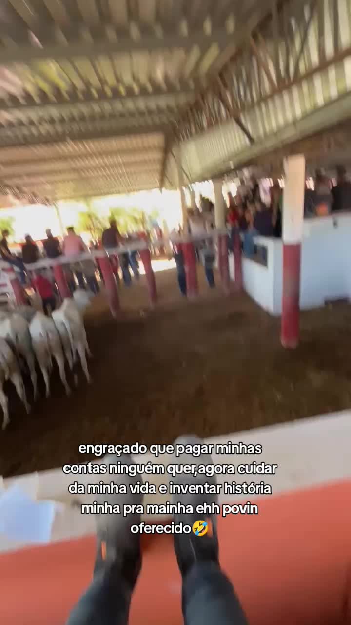 @Barbalho
