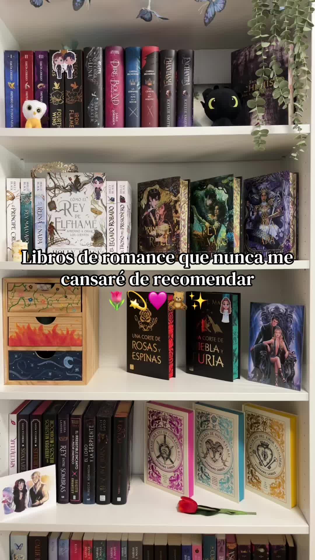@Thedarkmoonbooks🌙✨