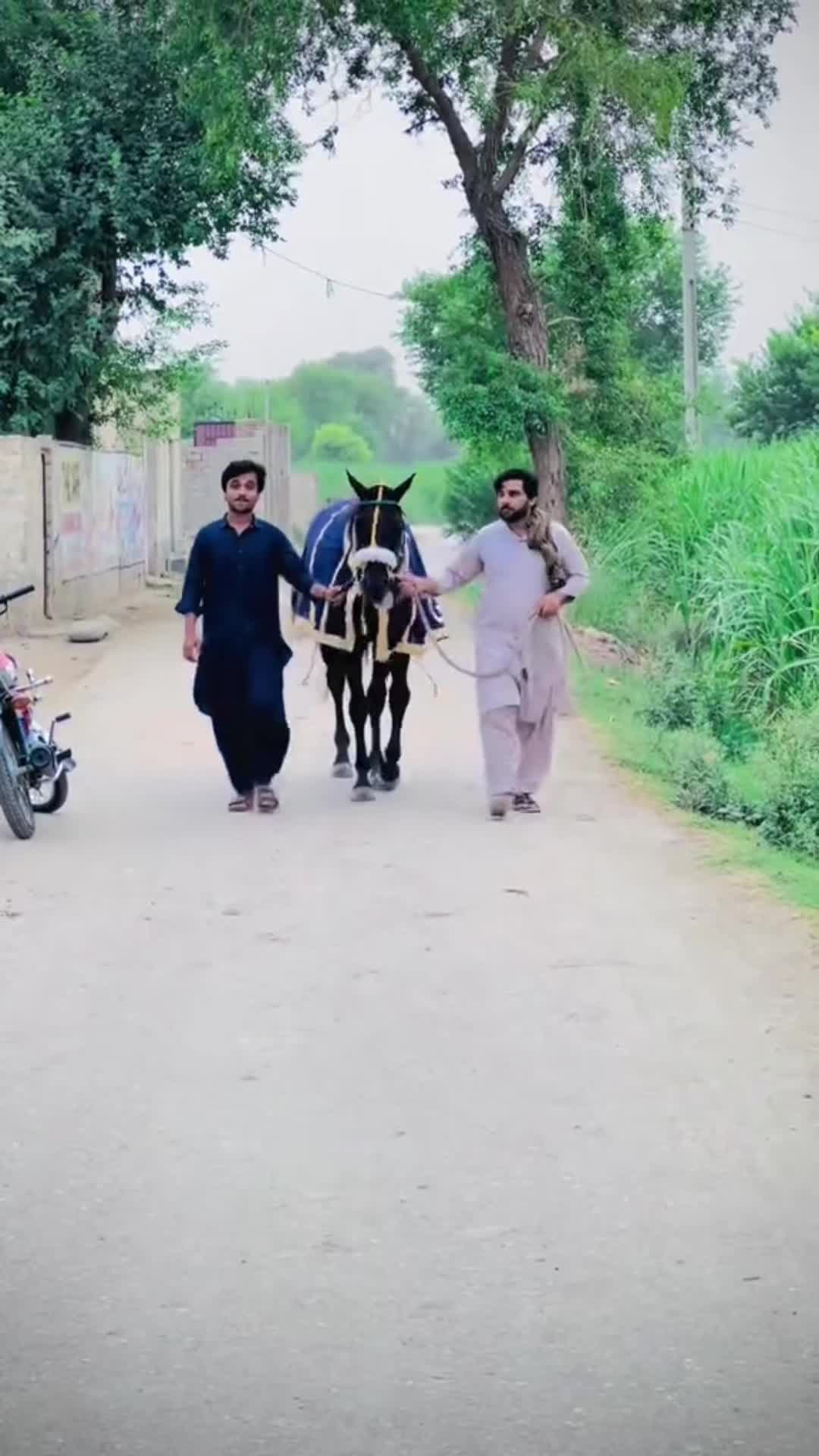 @rehan🕊️