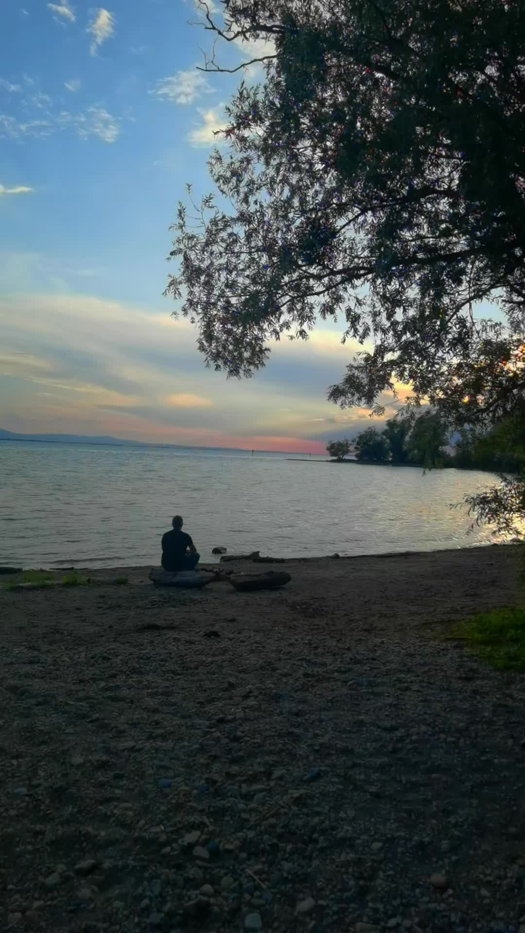 @🇨🇭başkan🇨🇭