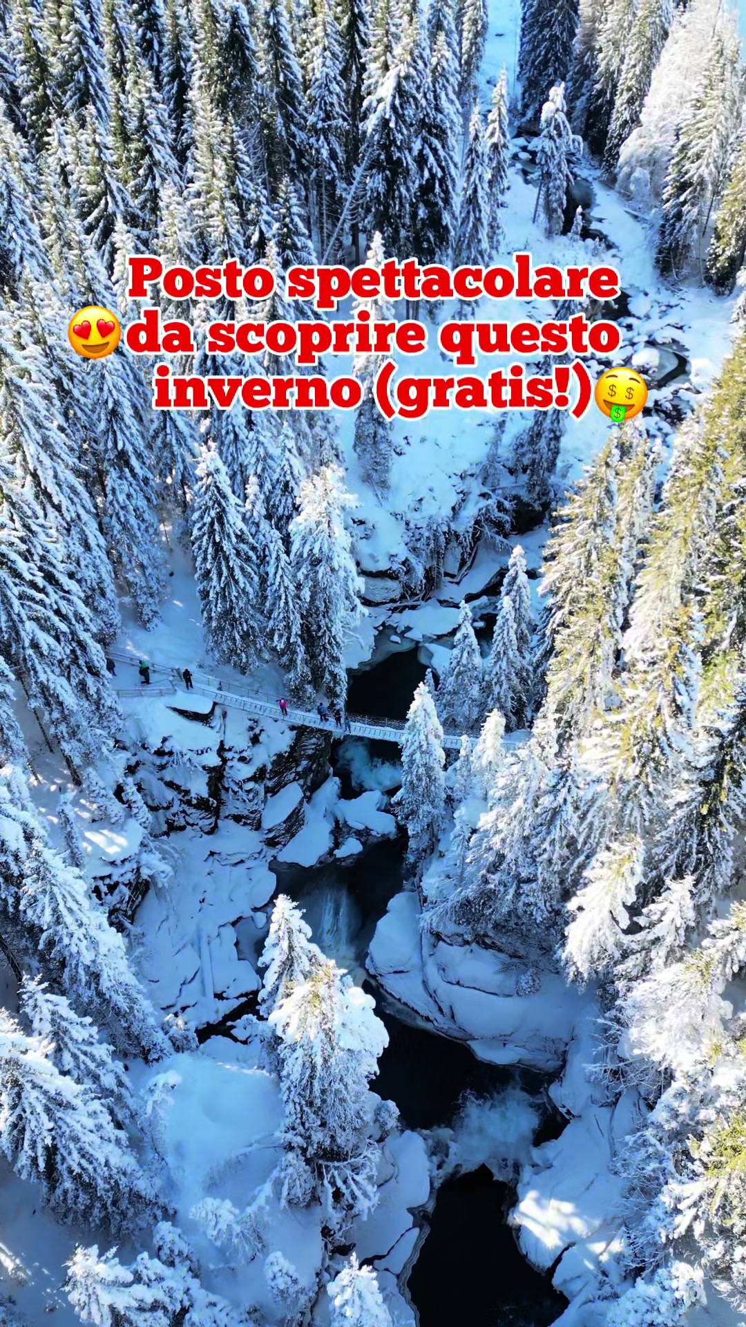 @lazzaroniontour