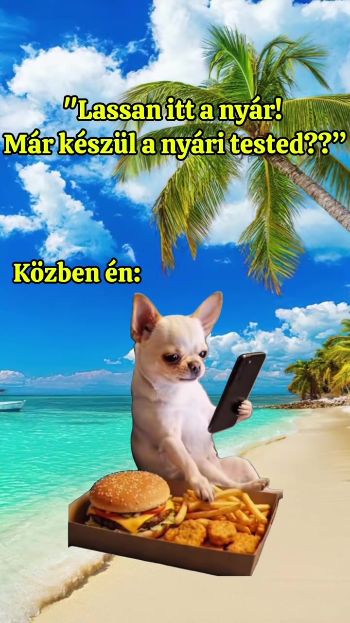 @Assi
