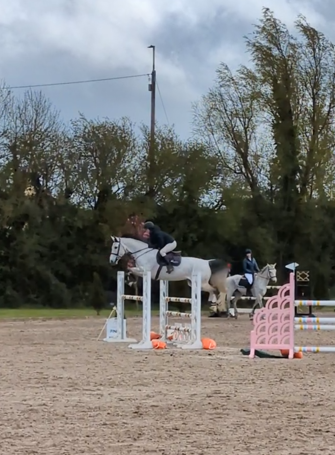 @irishsporthorses