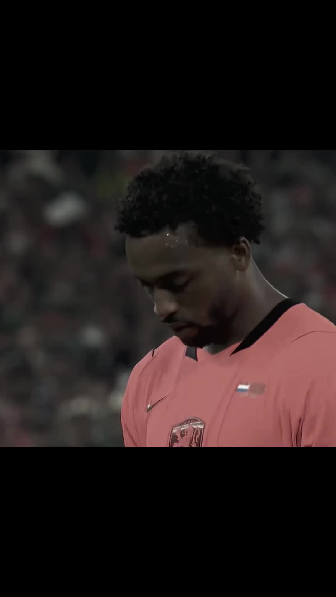 @ftbl.fernandes
