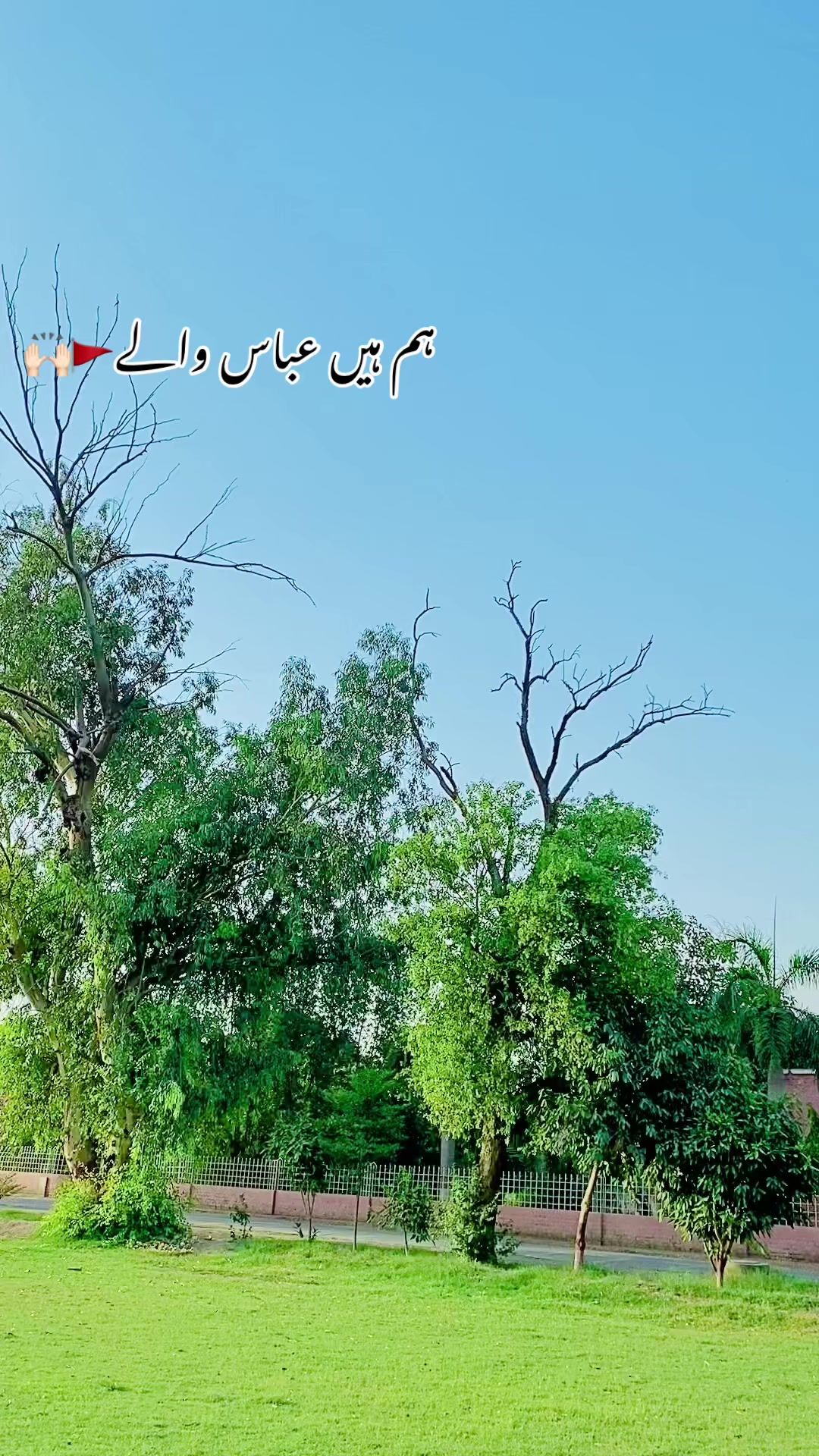 @وسیم شیرازی 🥂