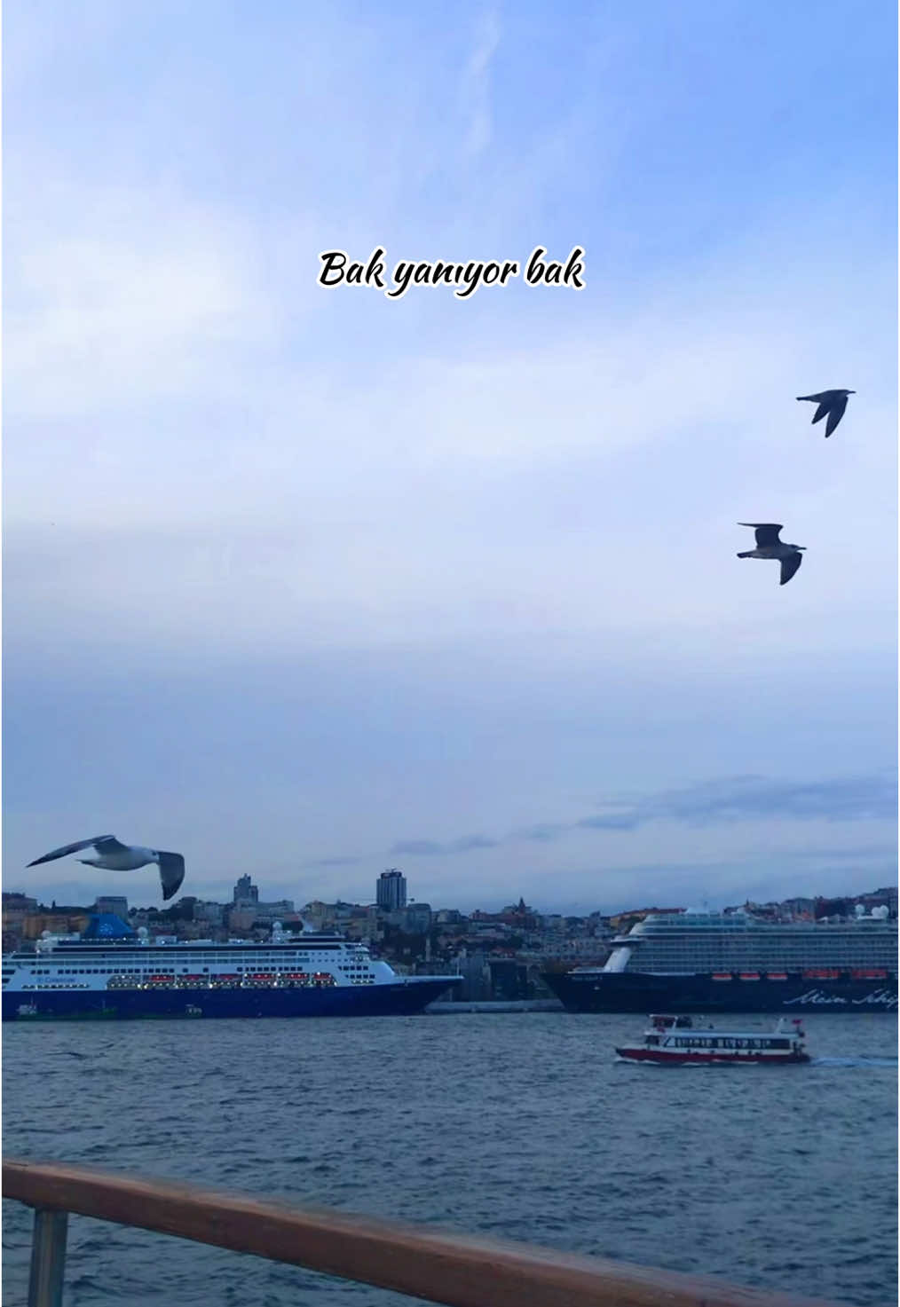 @Esra Ayyıldız 💐