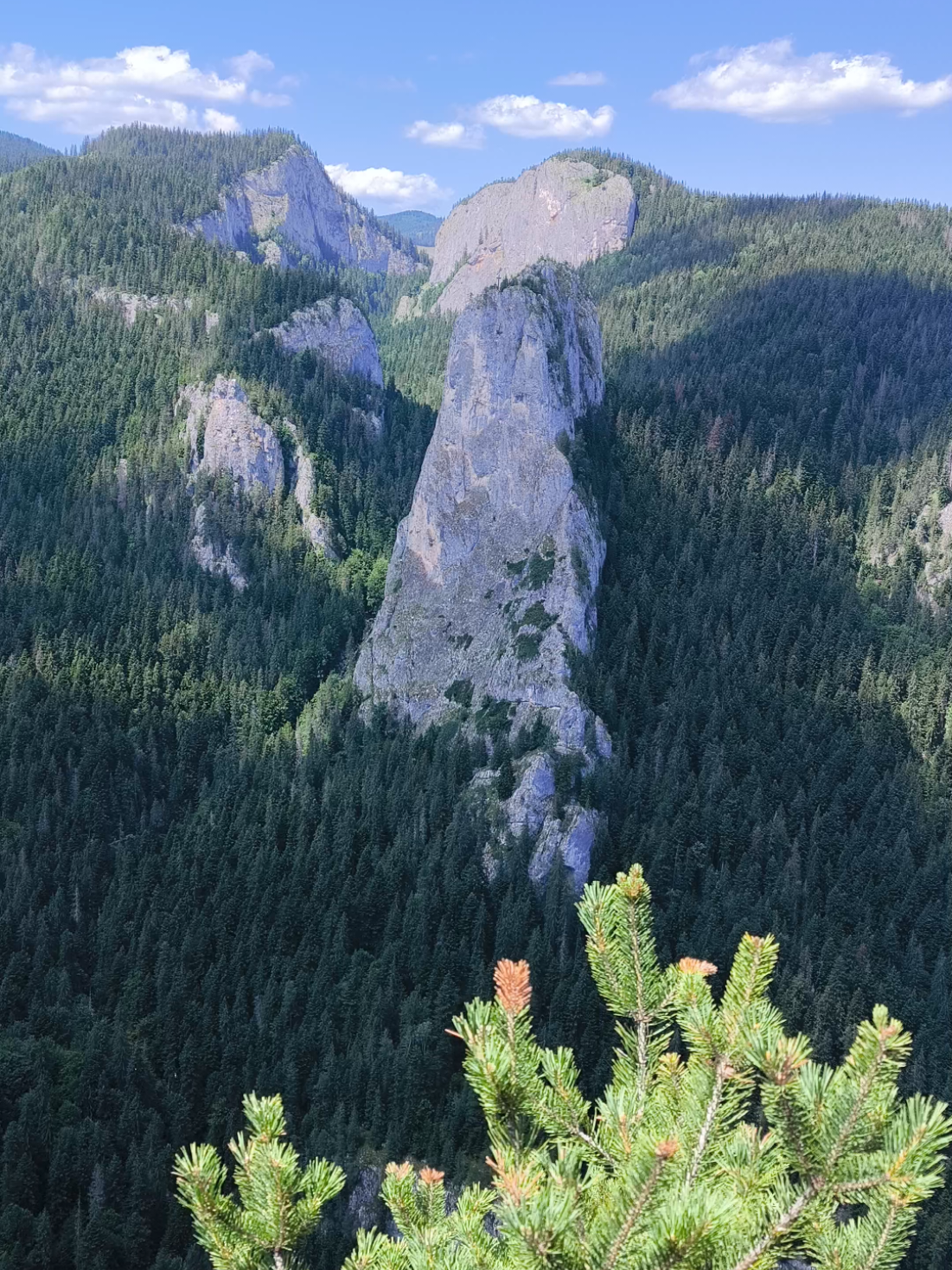 @Călător prin viață 🌅🏞️🌌