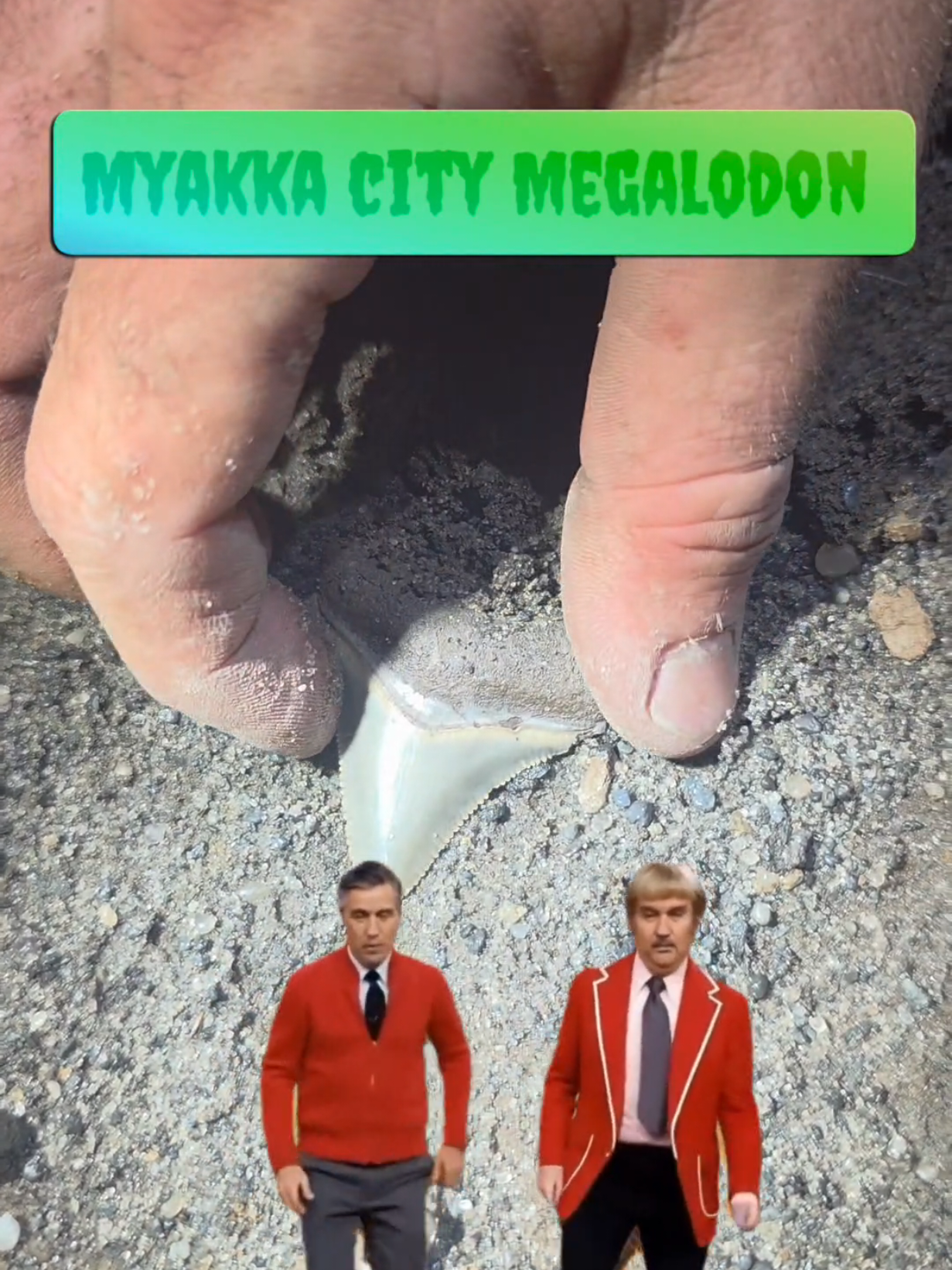 @RelicReef