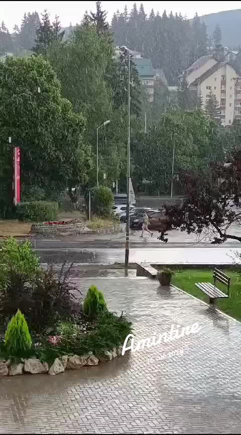 @sendo 81