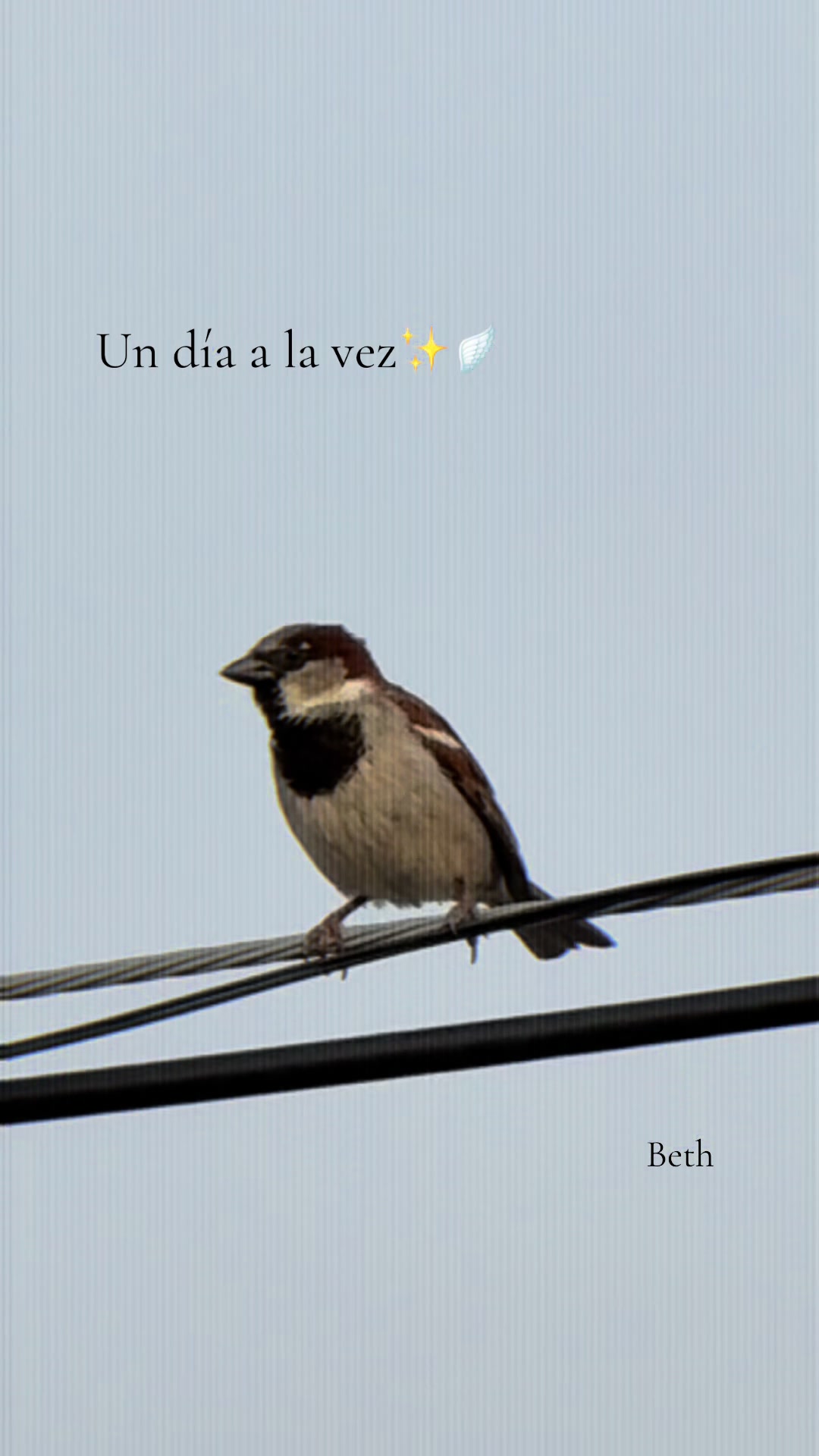 @*&bull;̩̩͙✩&bull;̩̩͙*𝗹𝗶𝘇𝘇*&bull;̩̩͙✩&bull;̩̩͙*