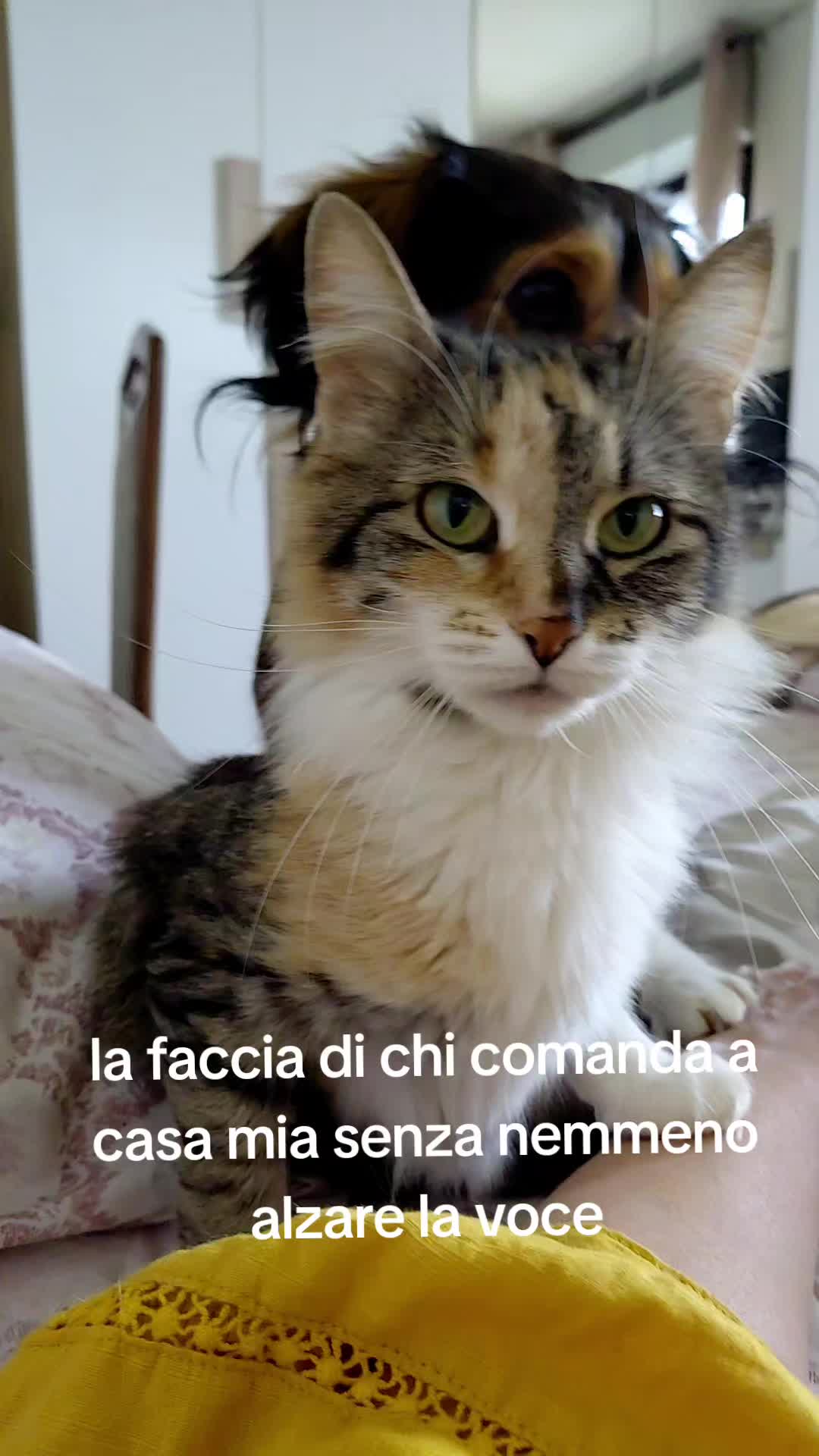 @Elisa🐶Ronda
