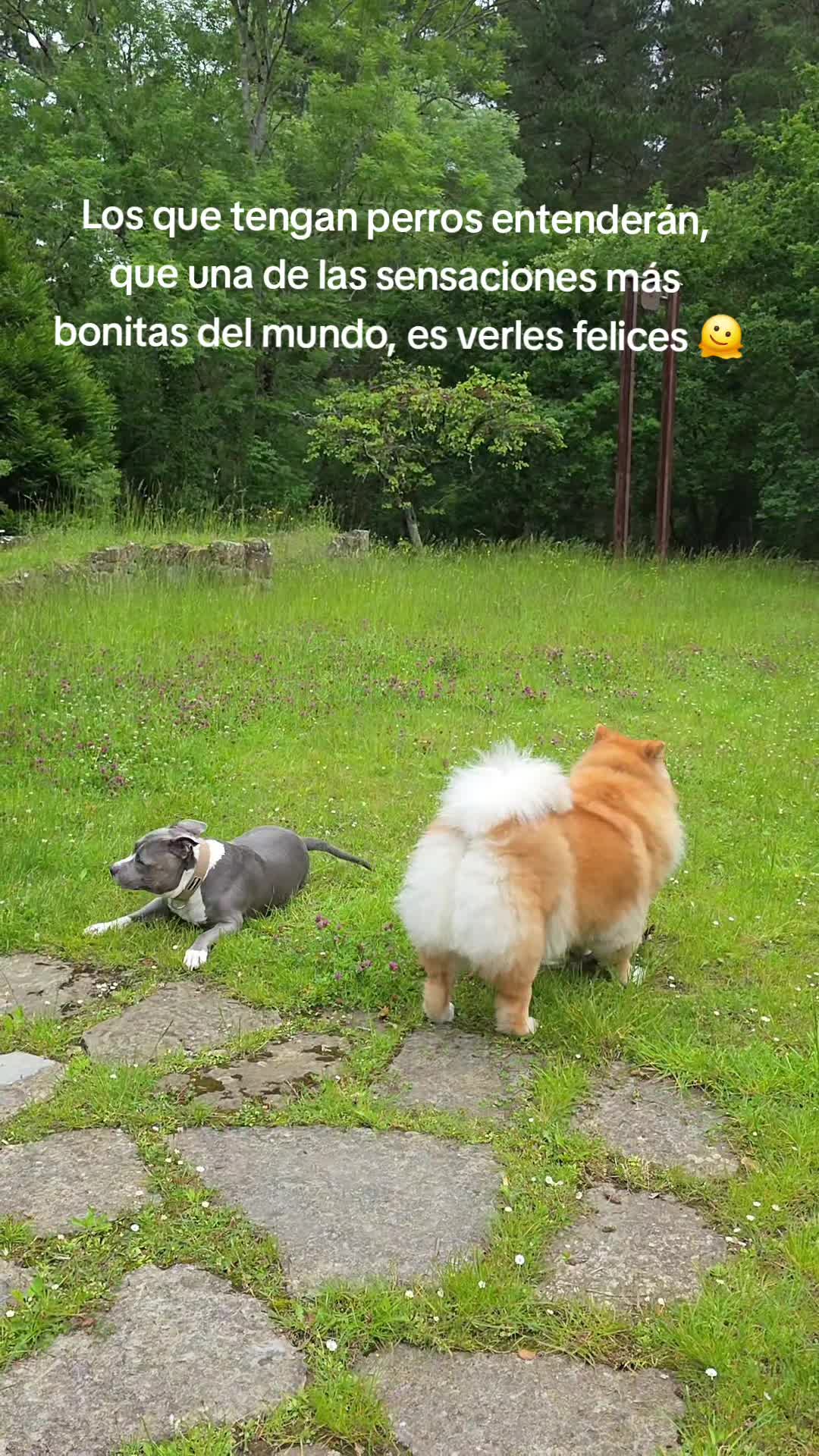 @Kenya y Daddy🐶
