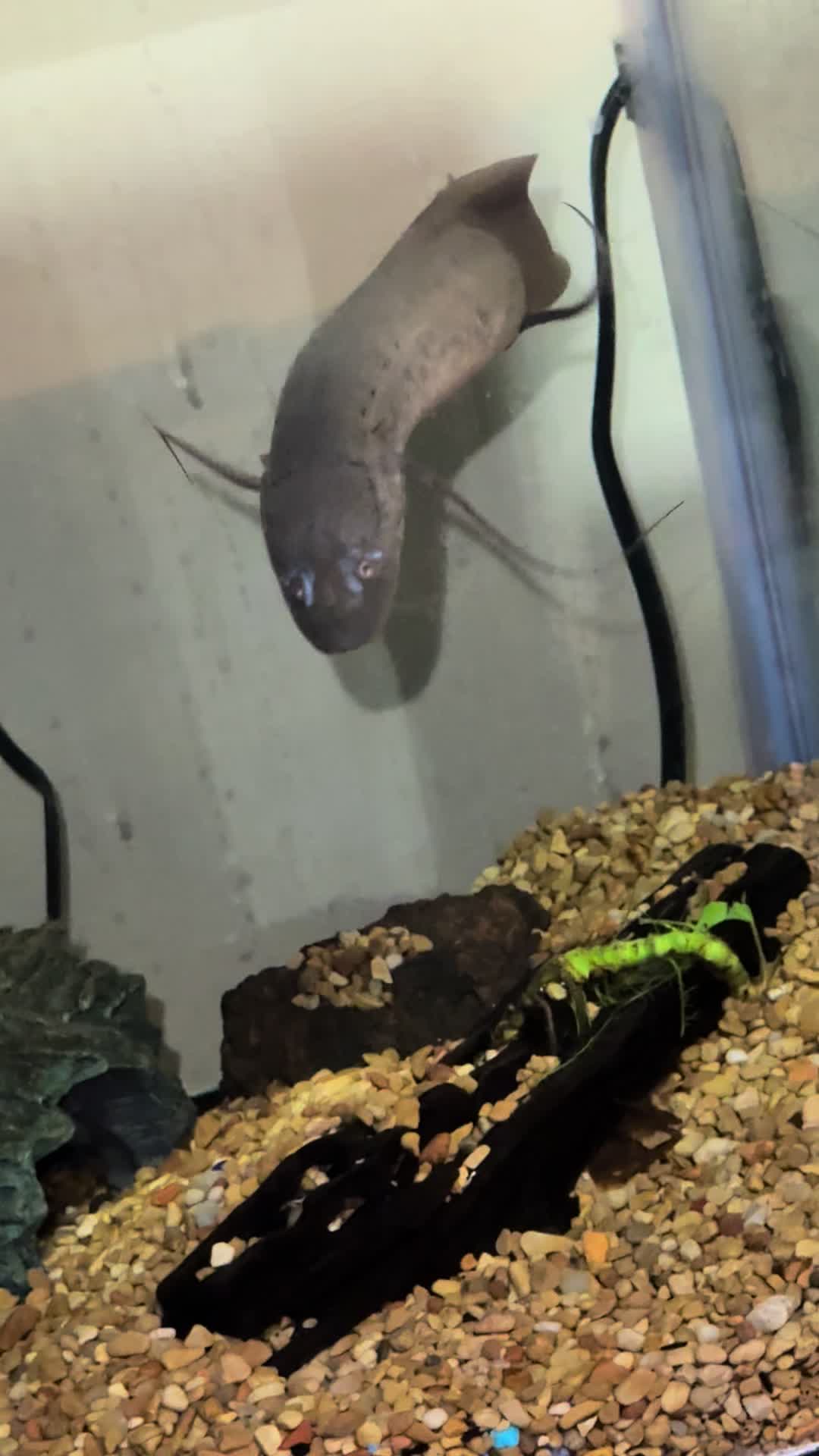 @fishdaddy2002