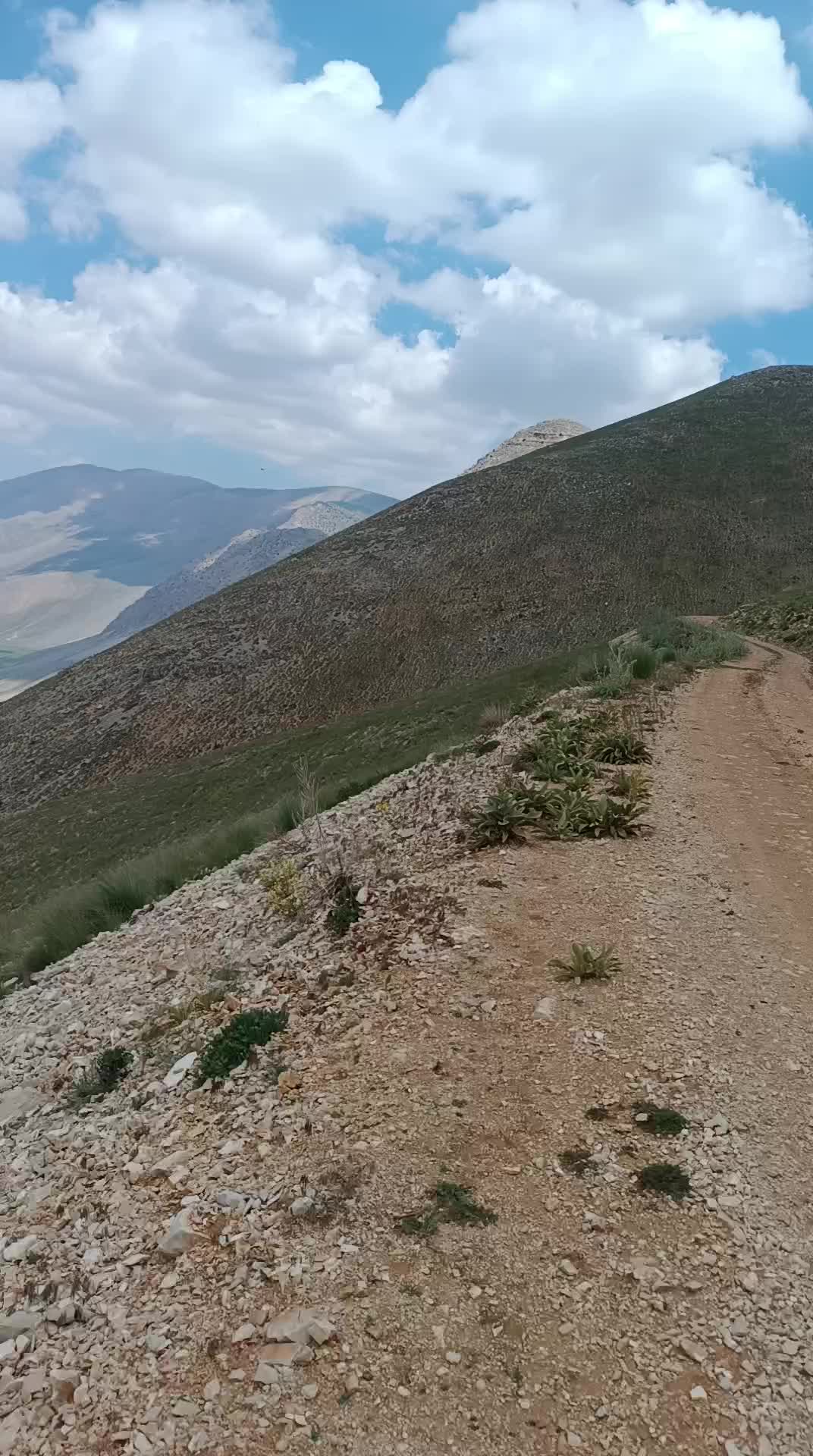 @Nazif Geriş