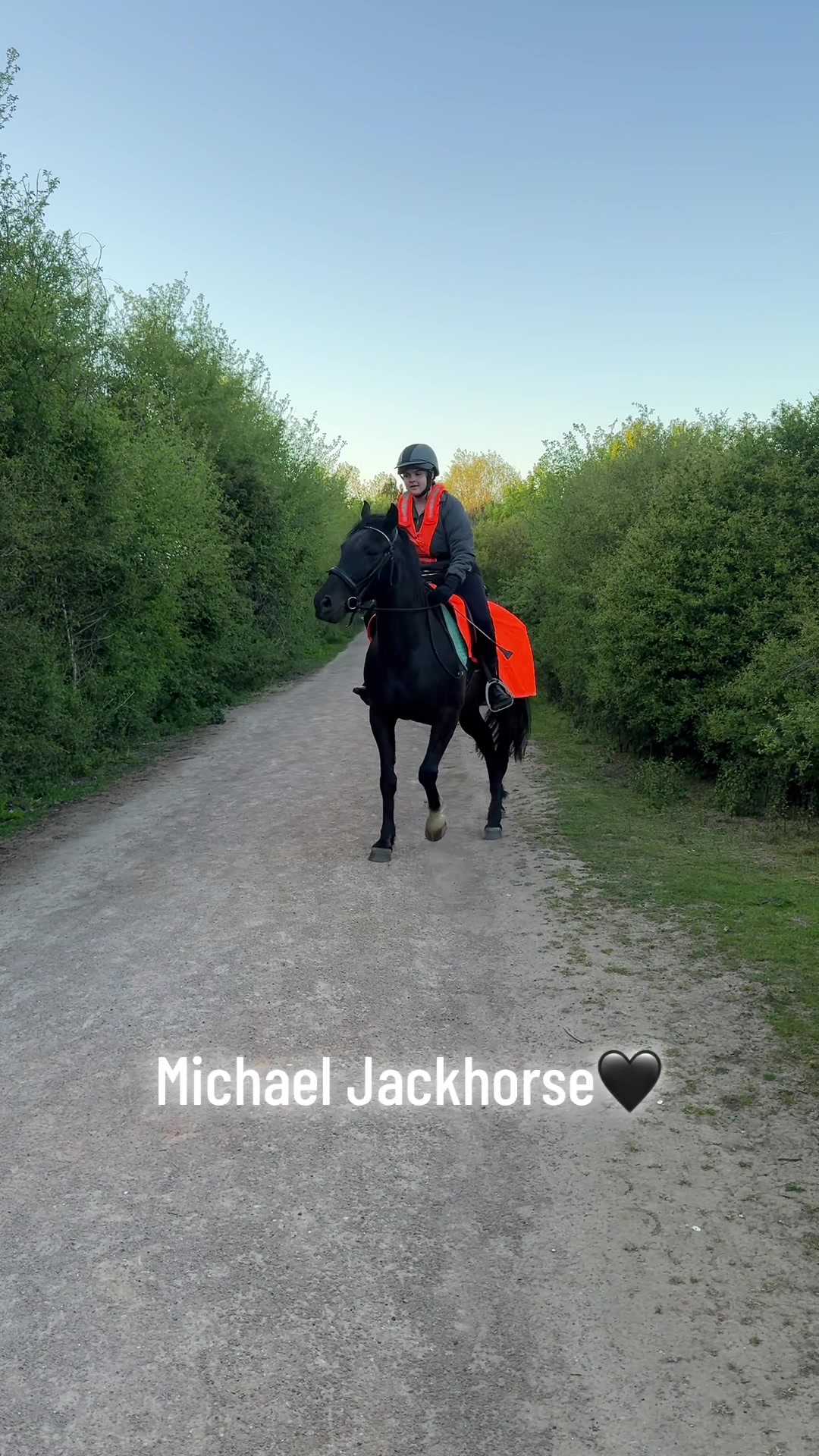 @Charlotte.Equestrian