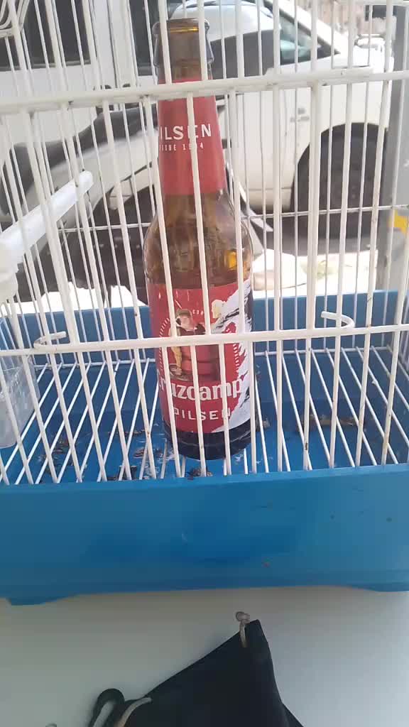 @Pakii Pakiii
