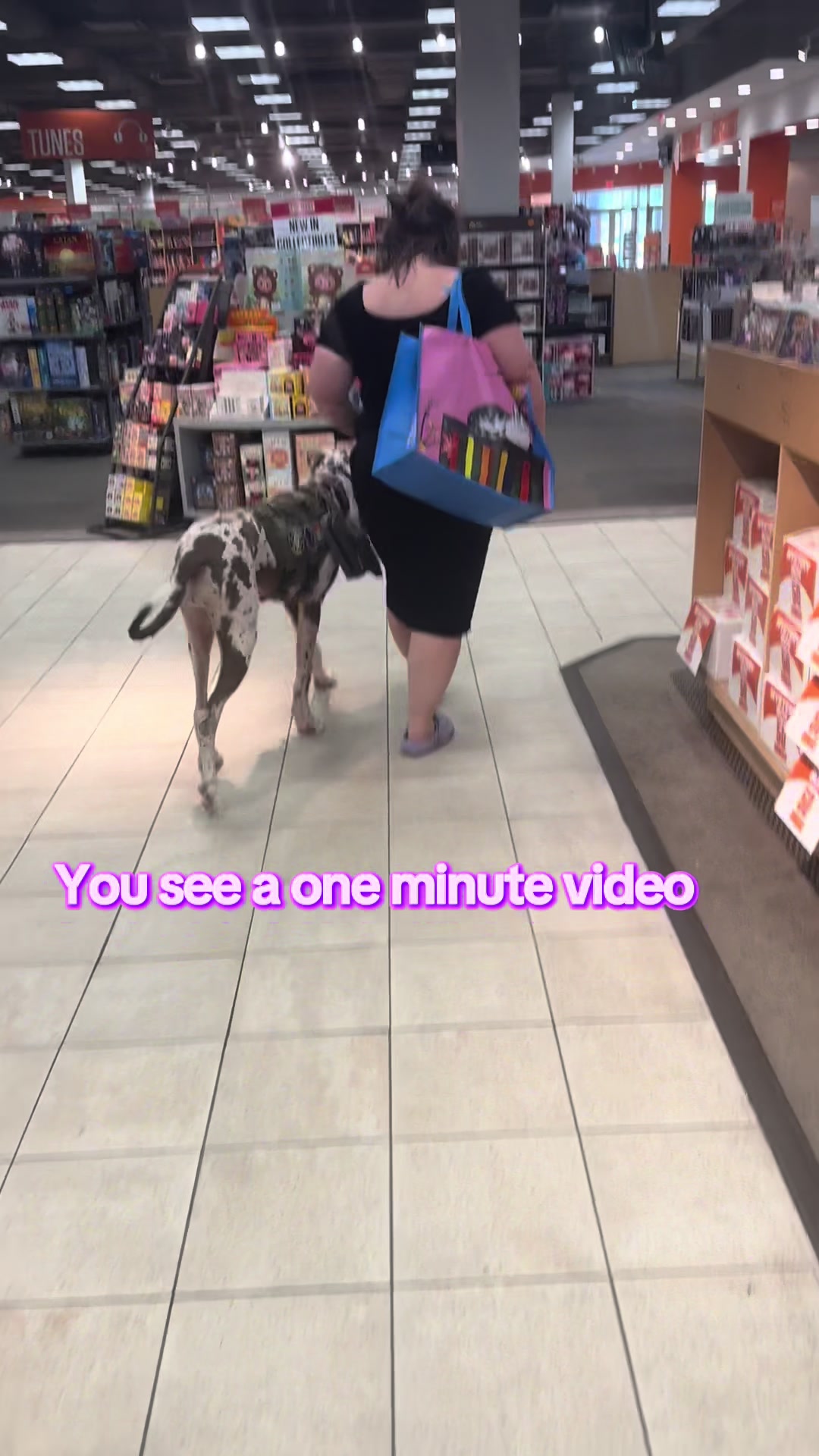@ladyvetandherpack