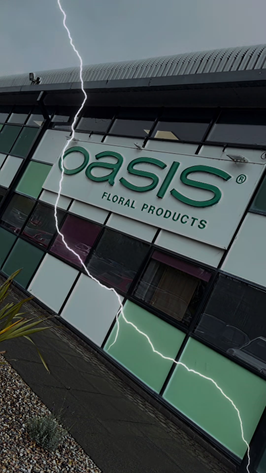 @Oasis Floral Products UK