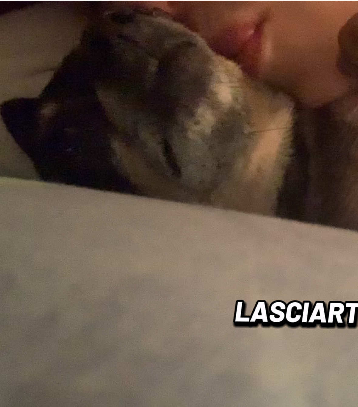 @Ale Verga